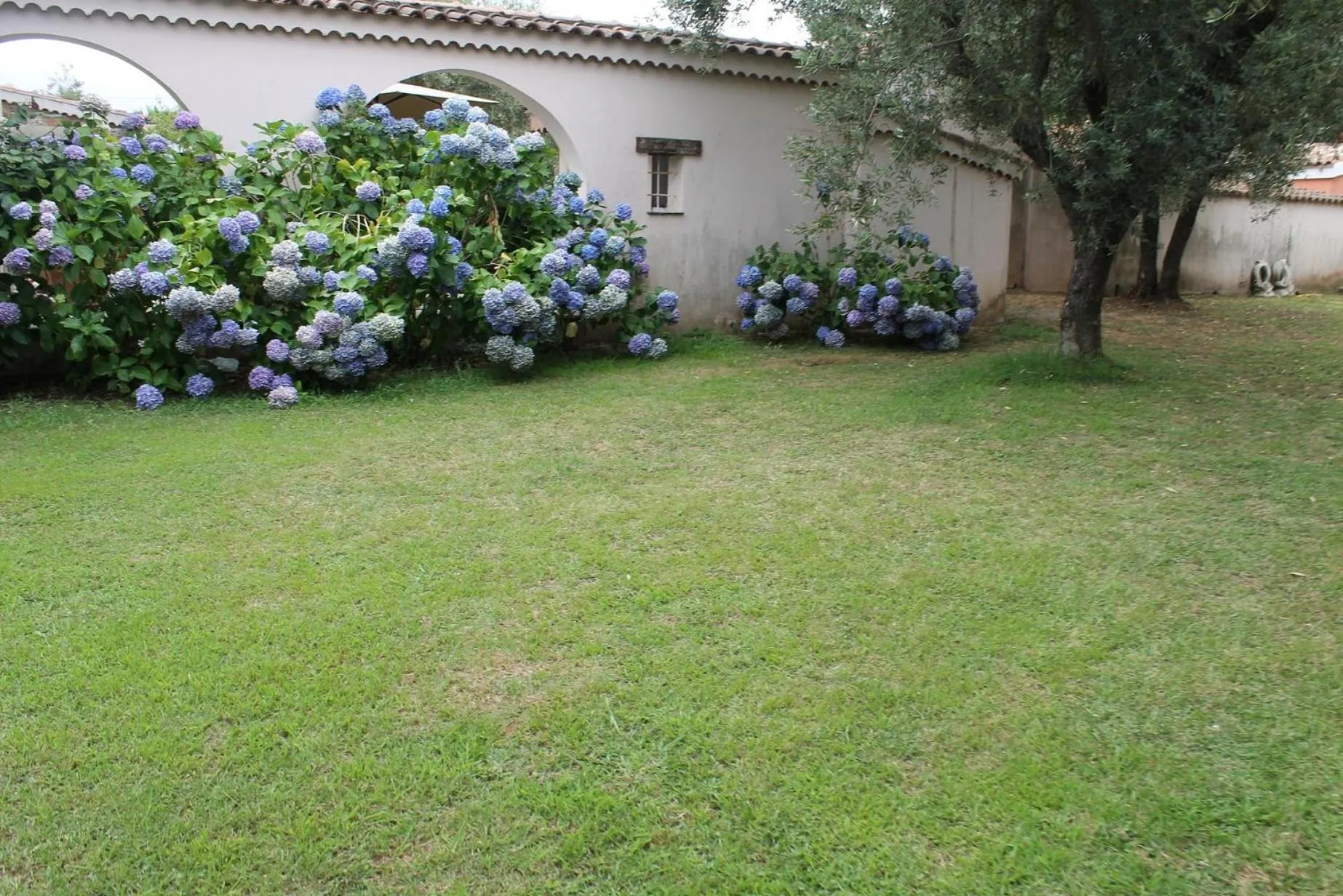 Domaine Le Clos des Oliviers