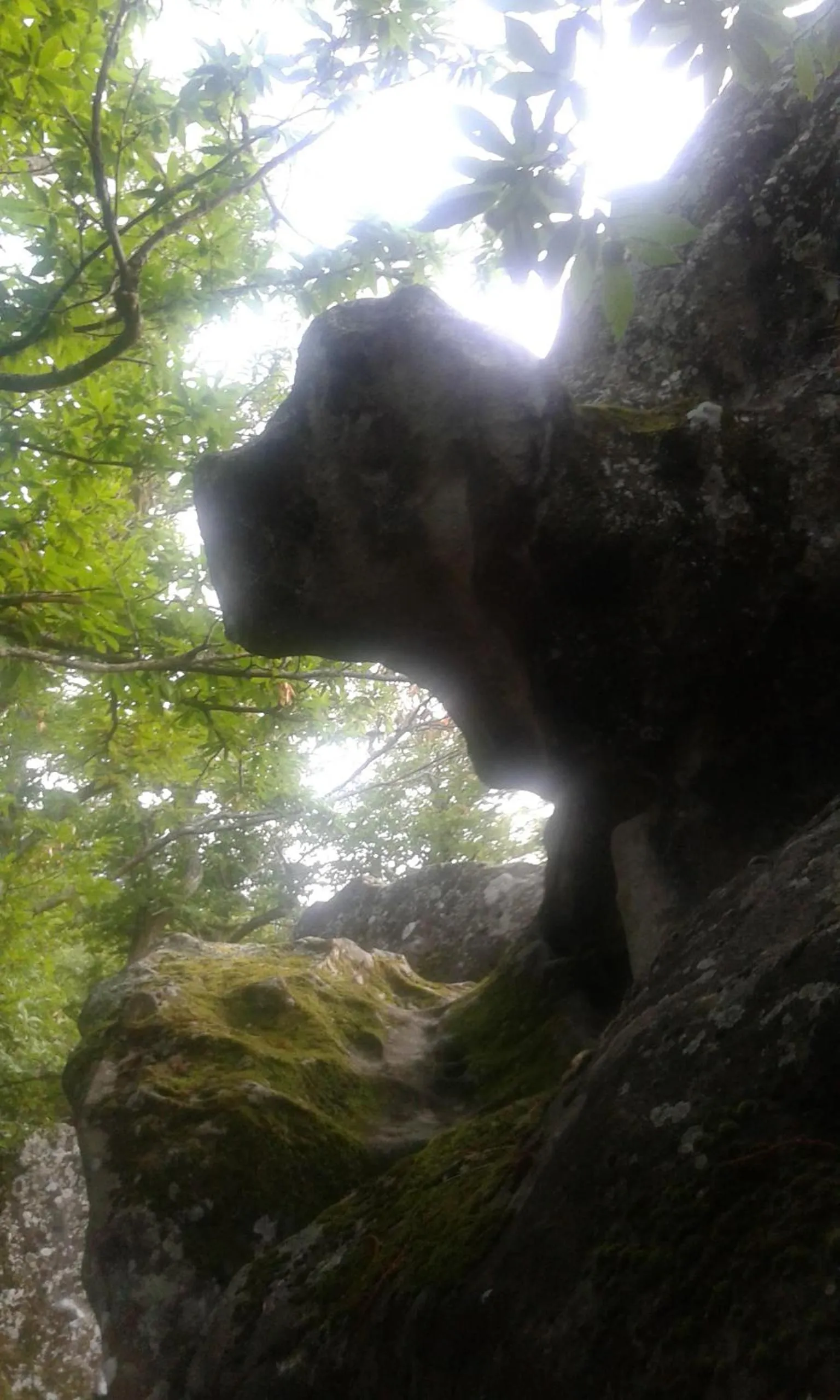 Natural landscape in B&B Villa Filetta