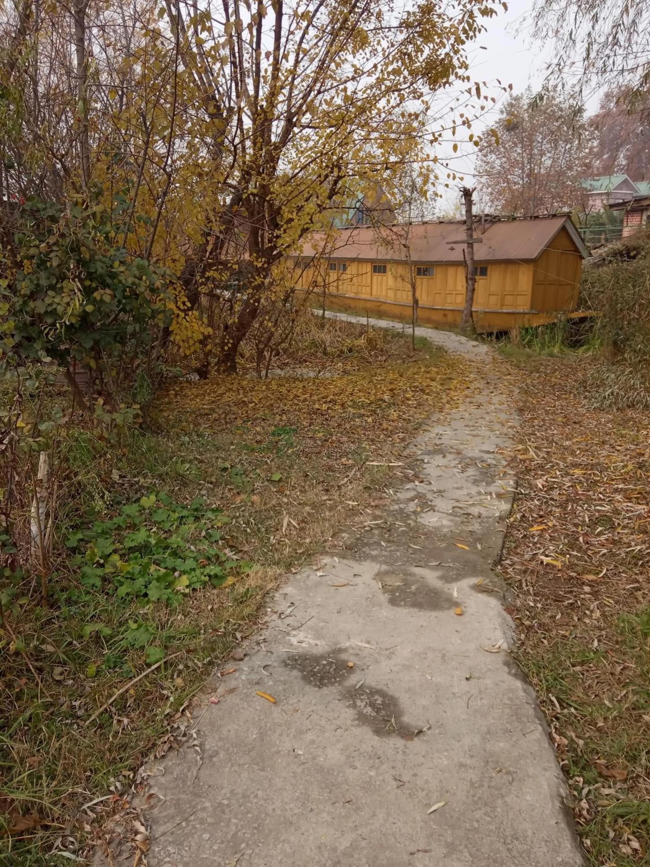 Maharaja palace houseboat