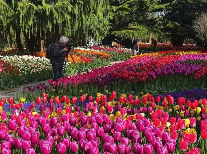 Maharaja palace houseboat