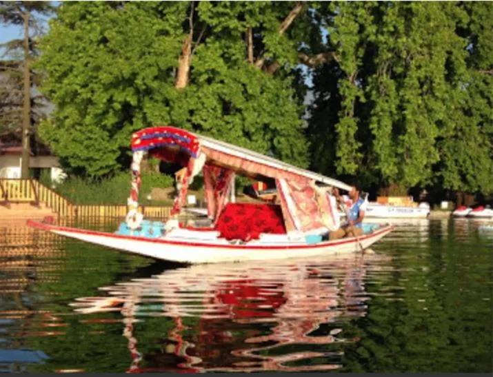 Maharaja palace houseboat