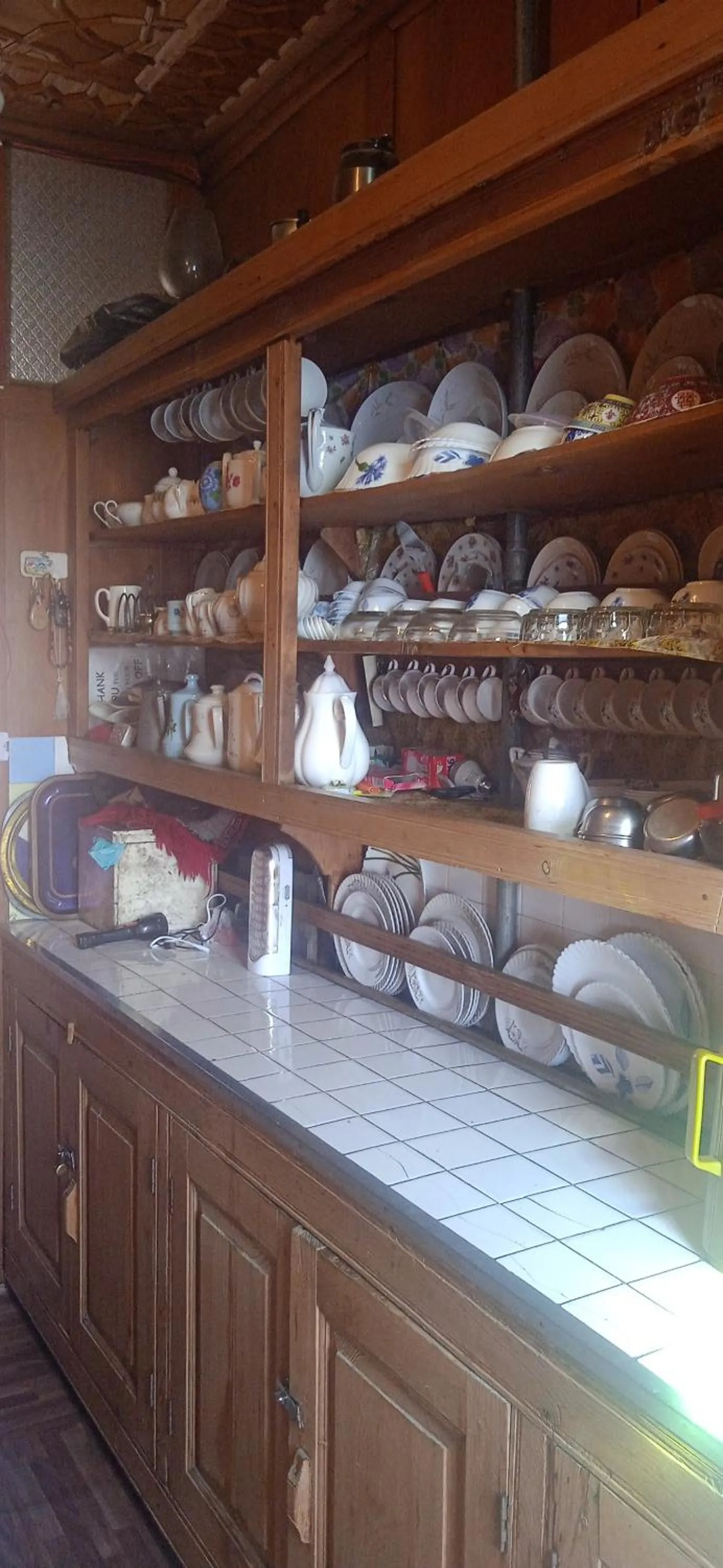 Maharaja palace houseboat