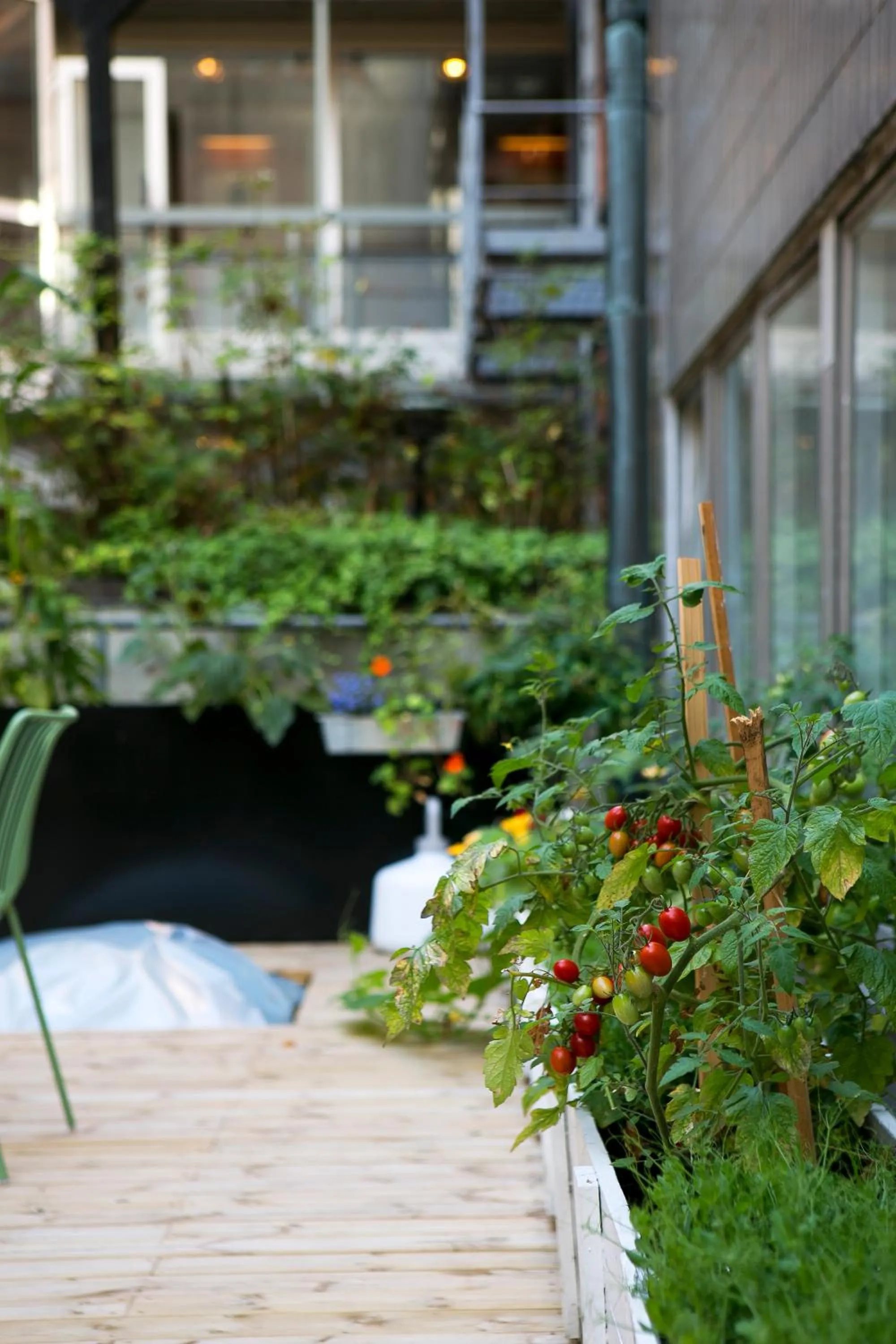 Patio in Moment Hotels