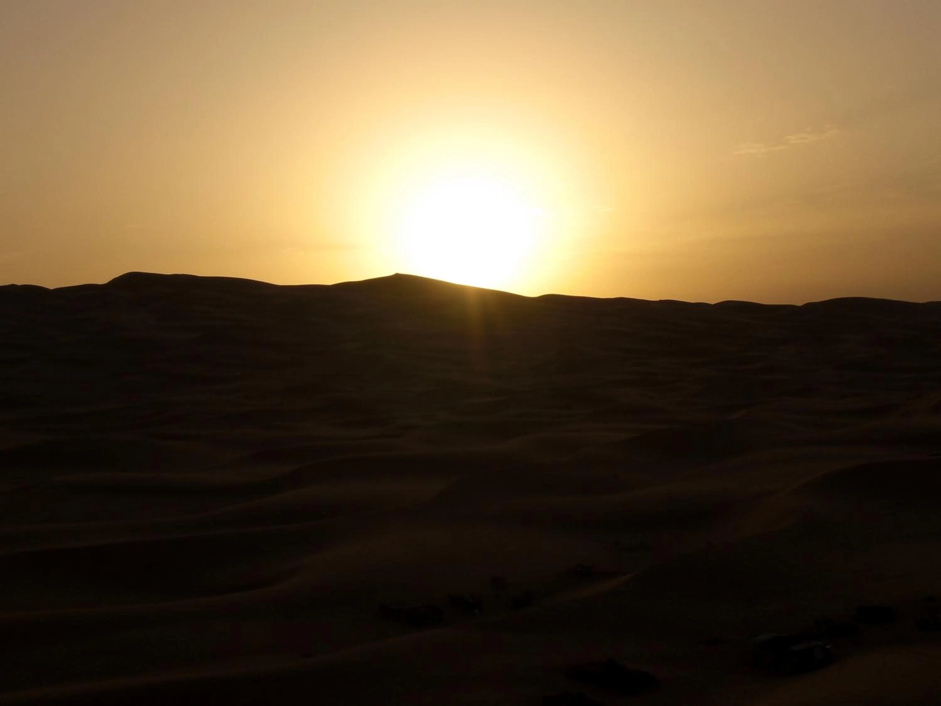 Activities in Auberge Camping Ocean des dunes