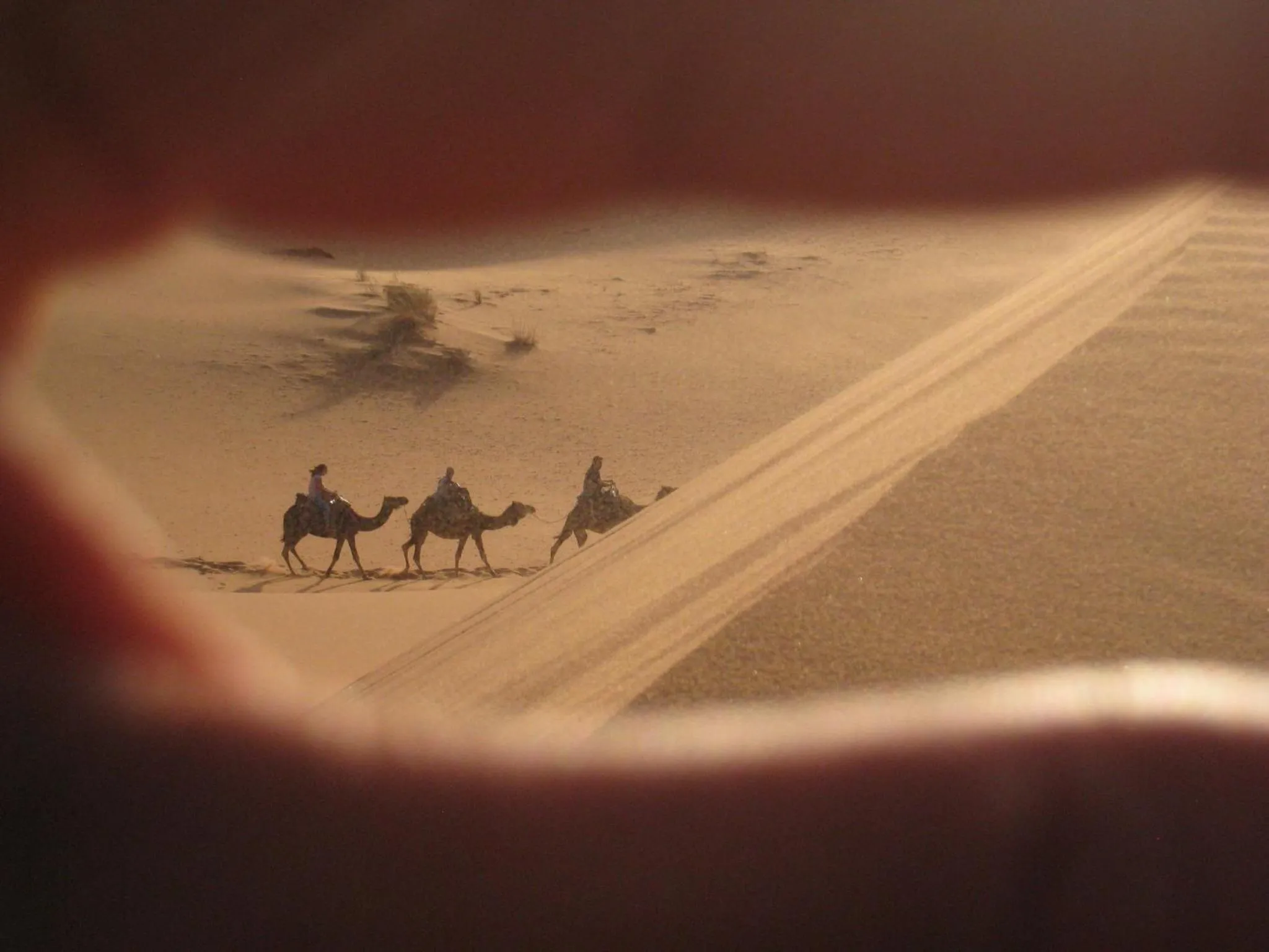 Facade/entrance in Auberge Camping Ocean des dunes