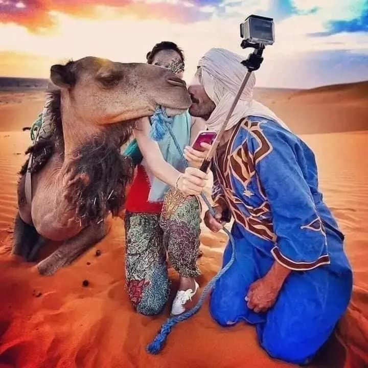 Activities in Auberge Camping Ocean des dunes