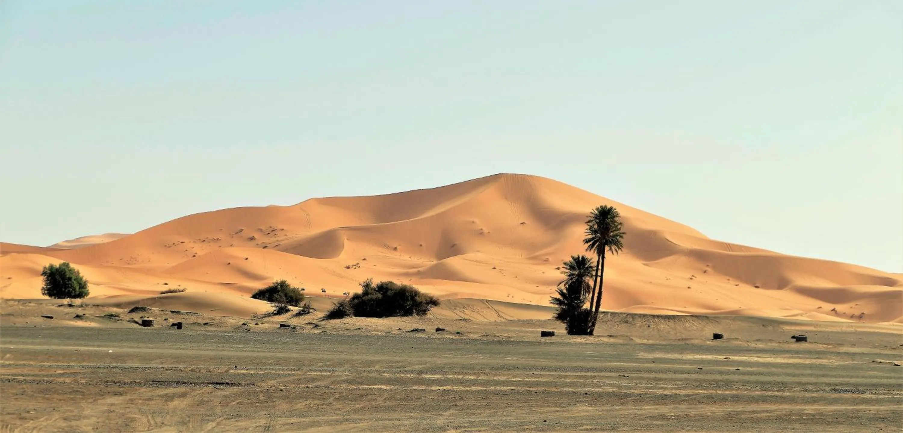 Activities in Auberge Camping Ocean des dunes