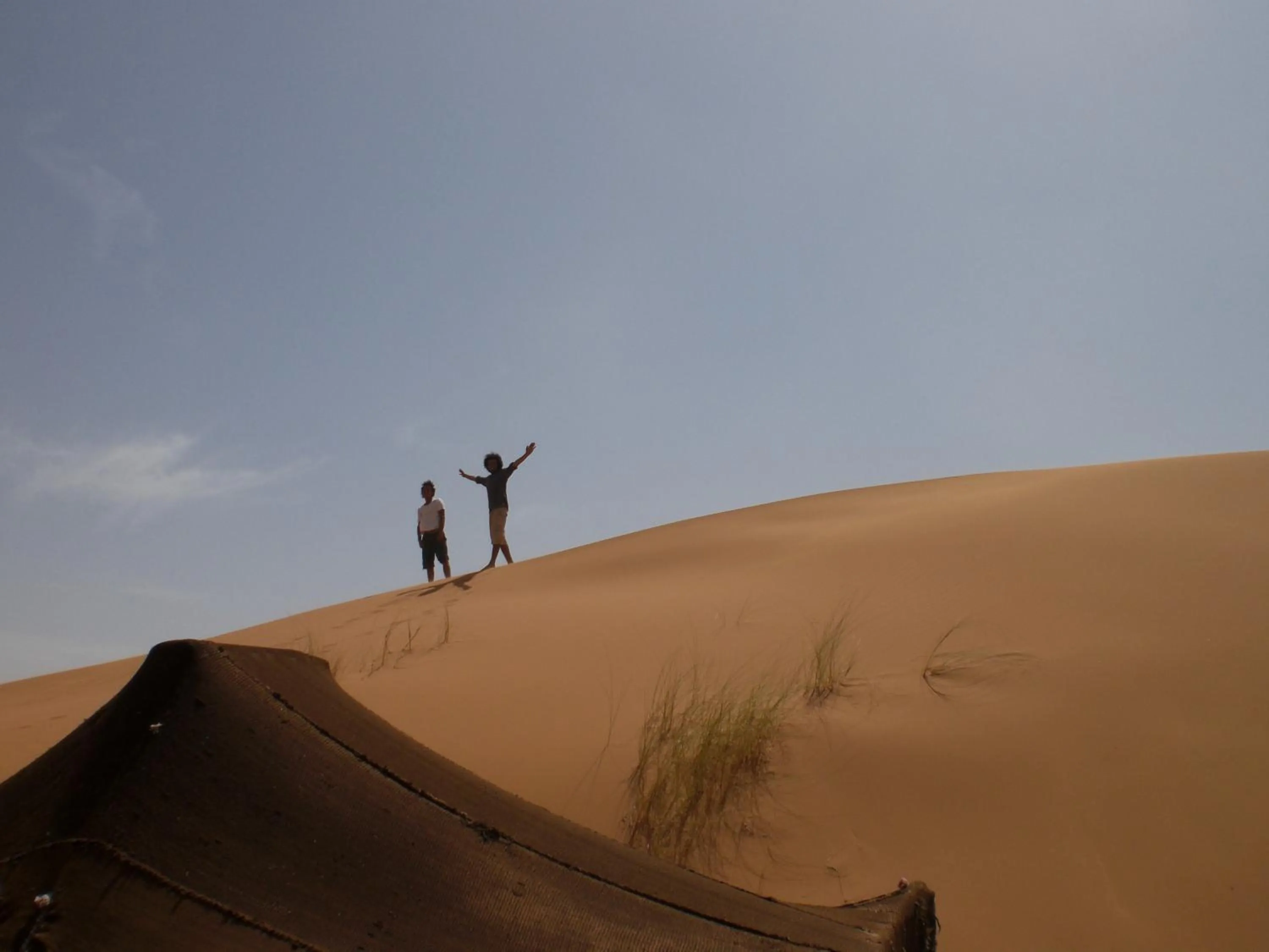 Facade/entrance in Auberge Camping Ocean des dunes