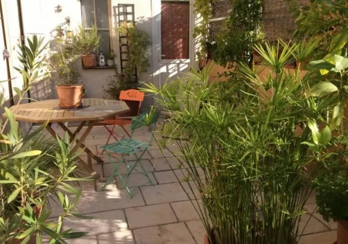 Patio in Maison Velvet