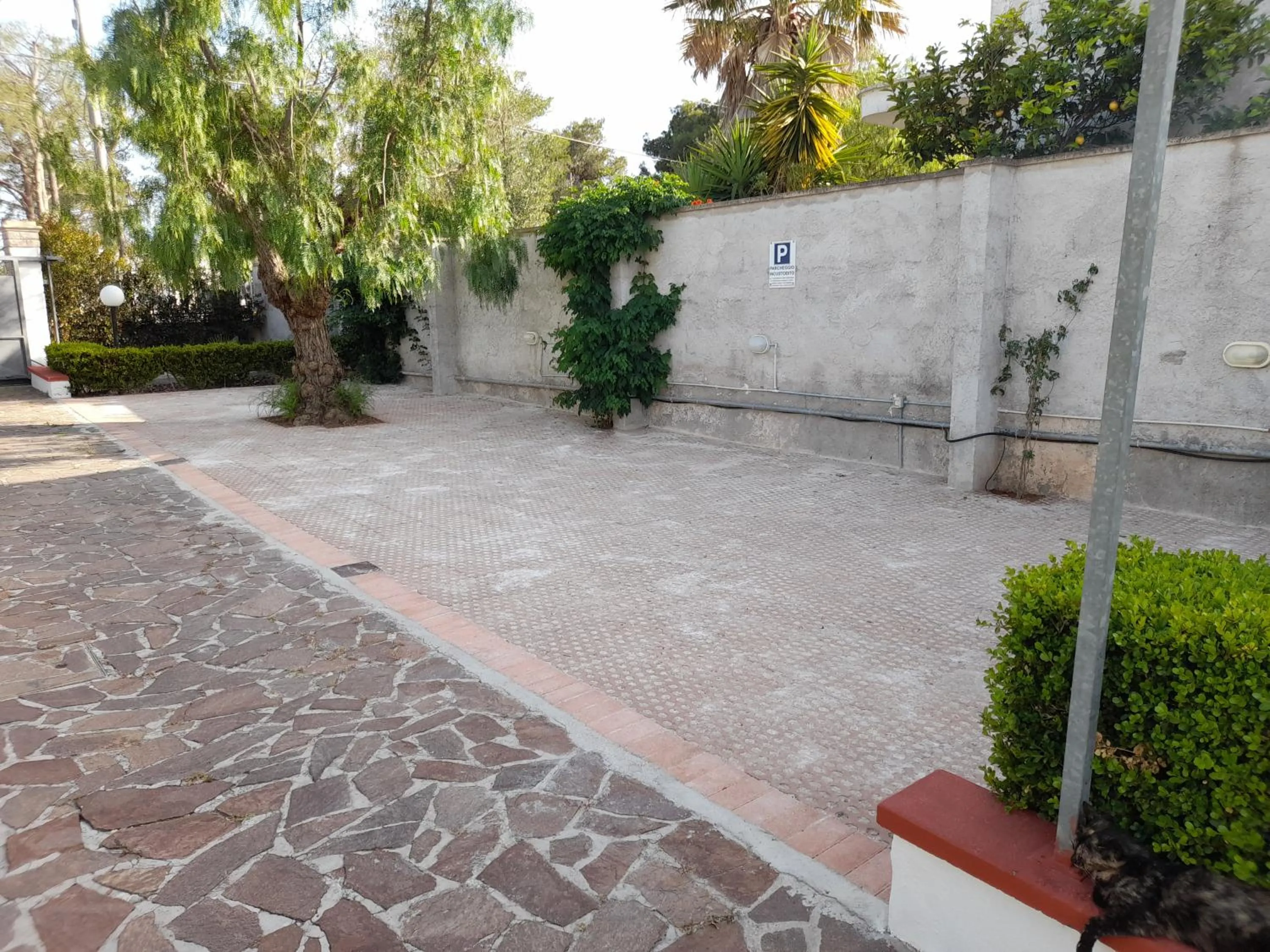 Parking in Bed&Breakfast L'Oasi