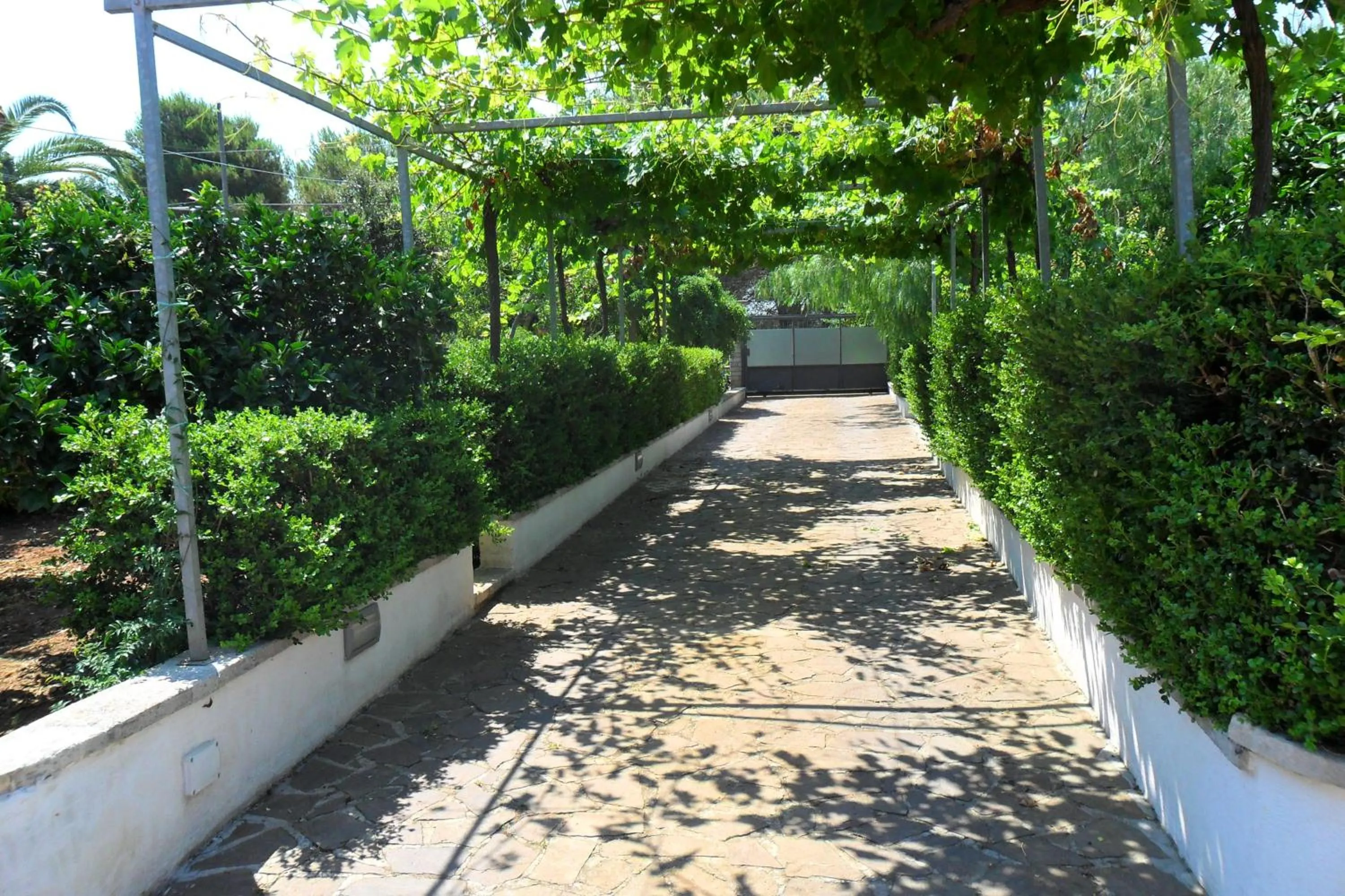 Garden in Bed&Breakfast L'Oasi