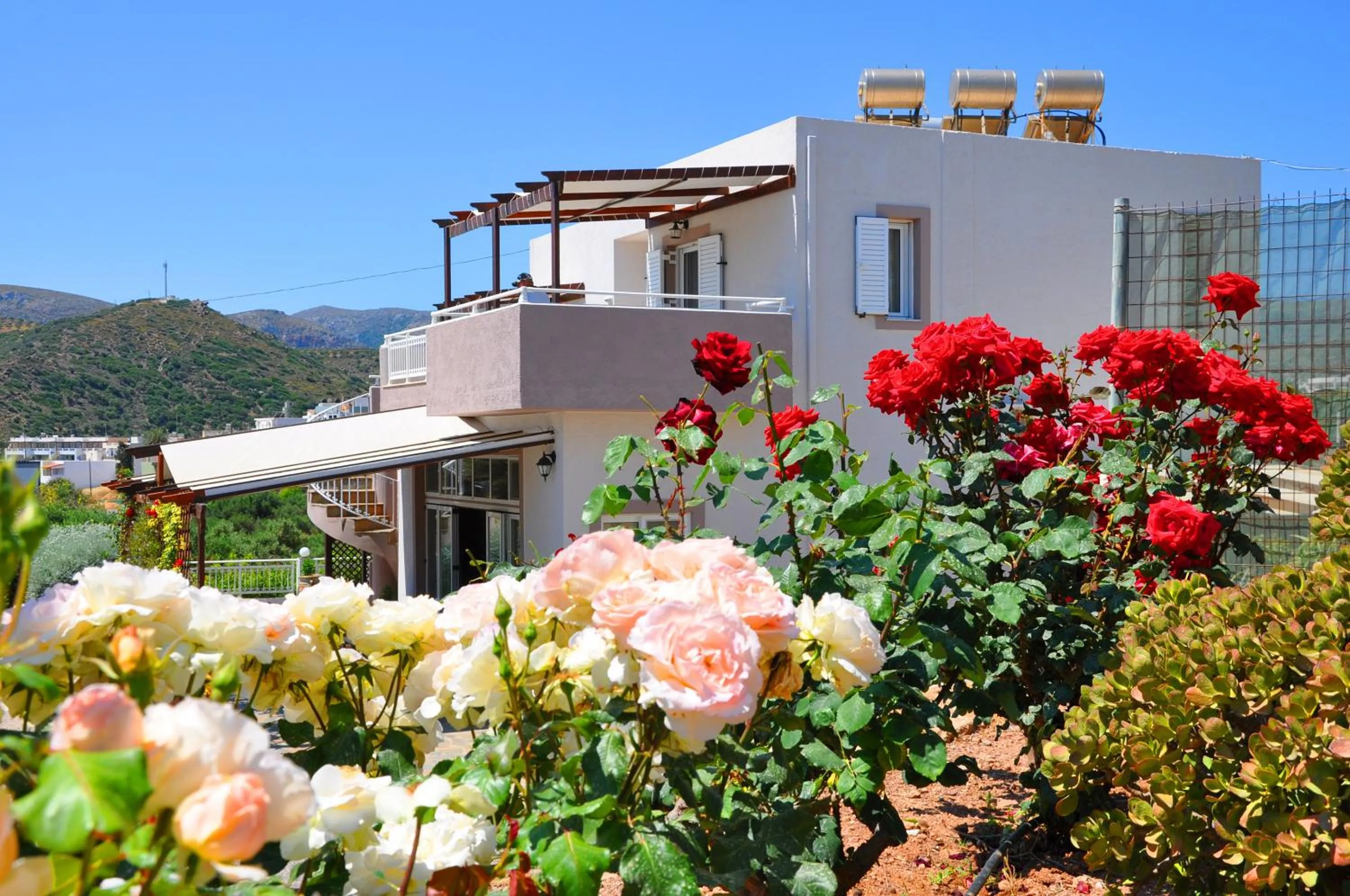 Garden in Lagos Studios & Apartments
