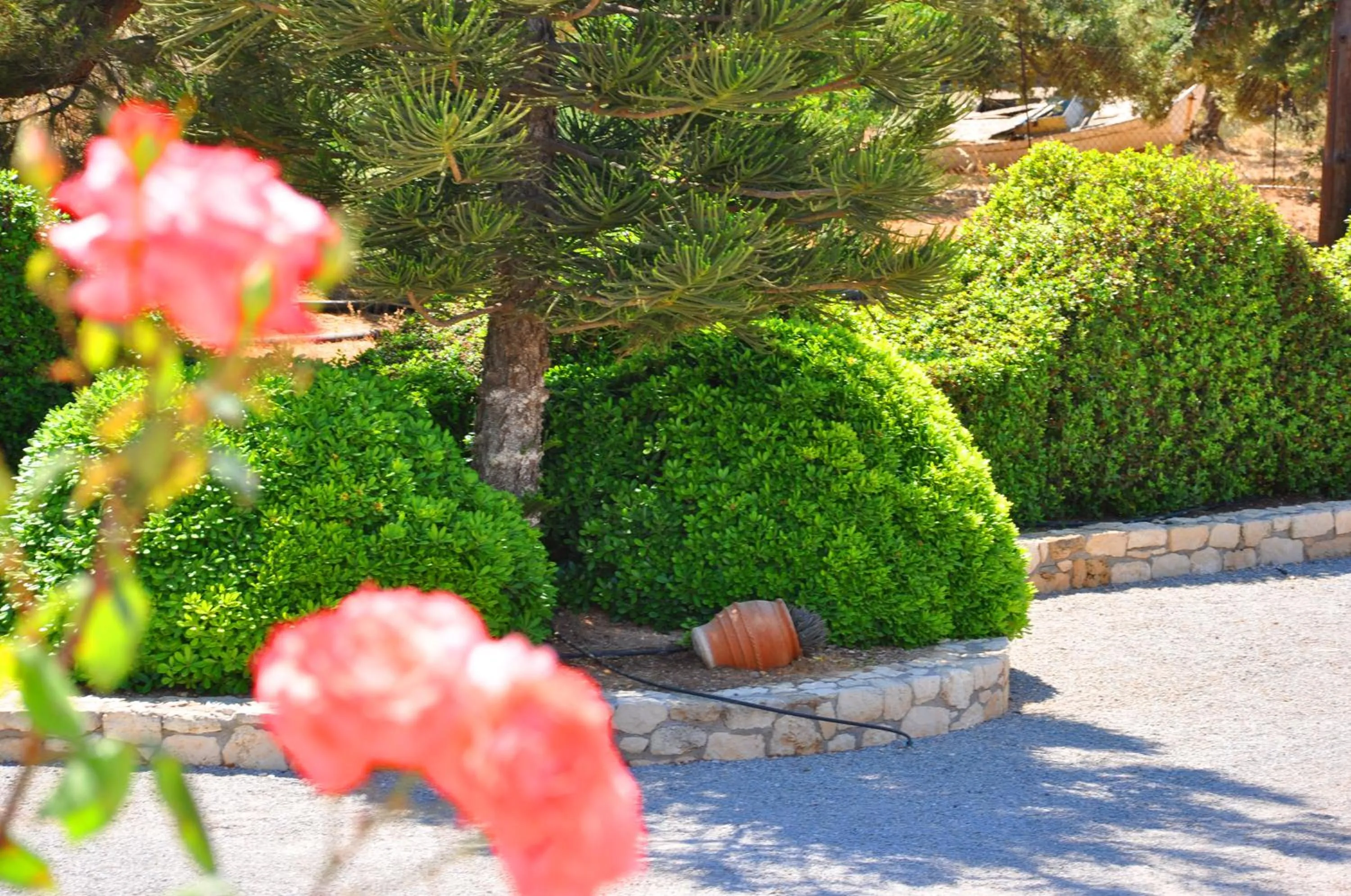 Lagos Studios & Apartments