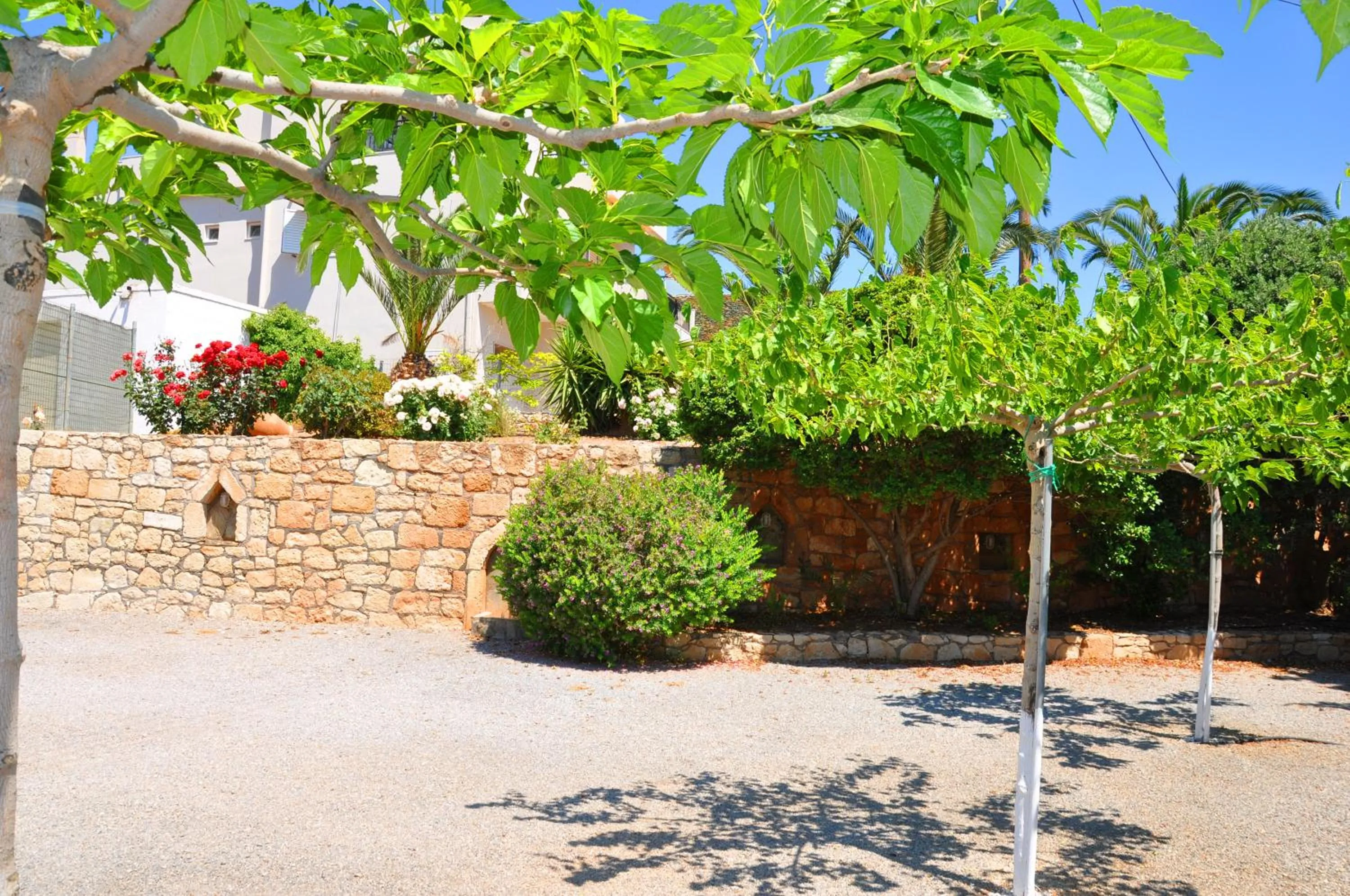 Lagos Studios & Apartments