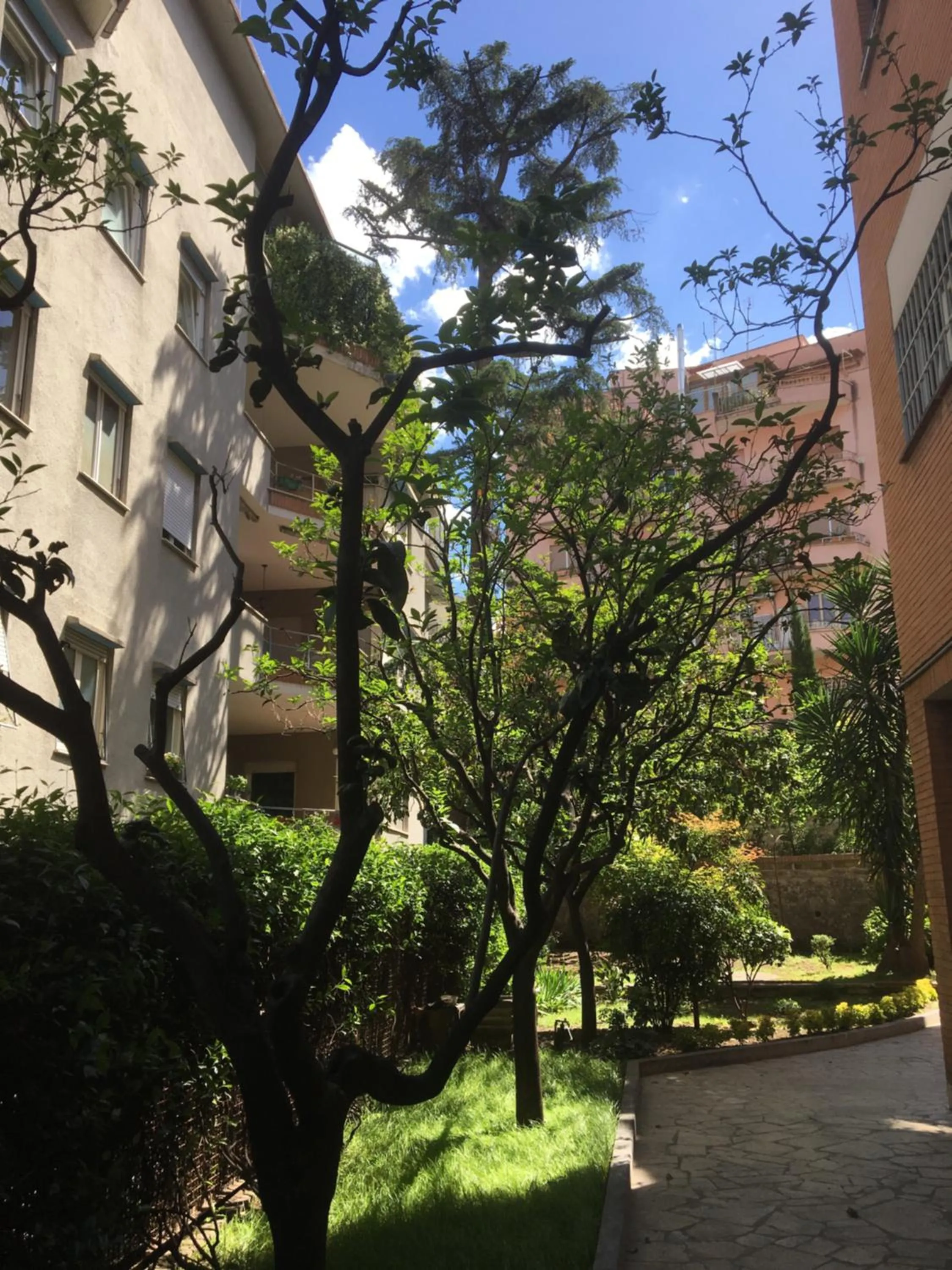 Garden in GLI ARANCI Apartment