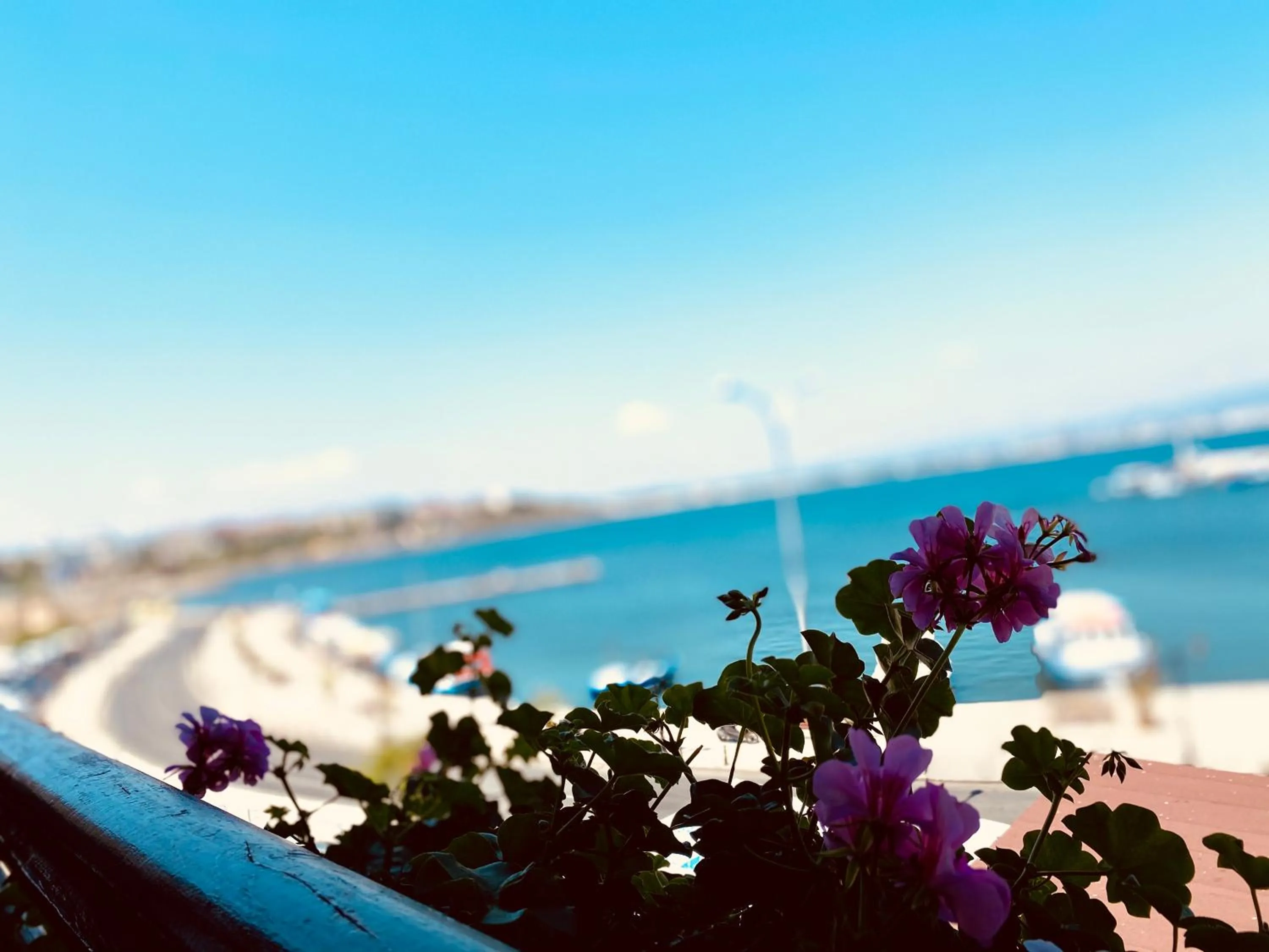 Natural landscape in Family Hotel Saint Nikola and Free parking