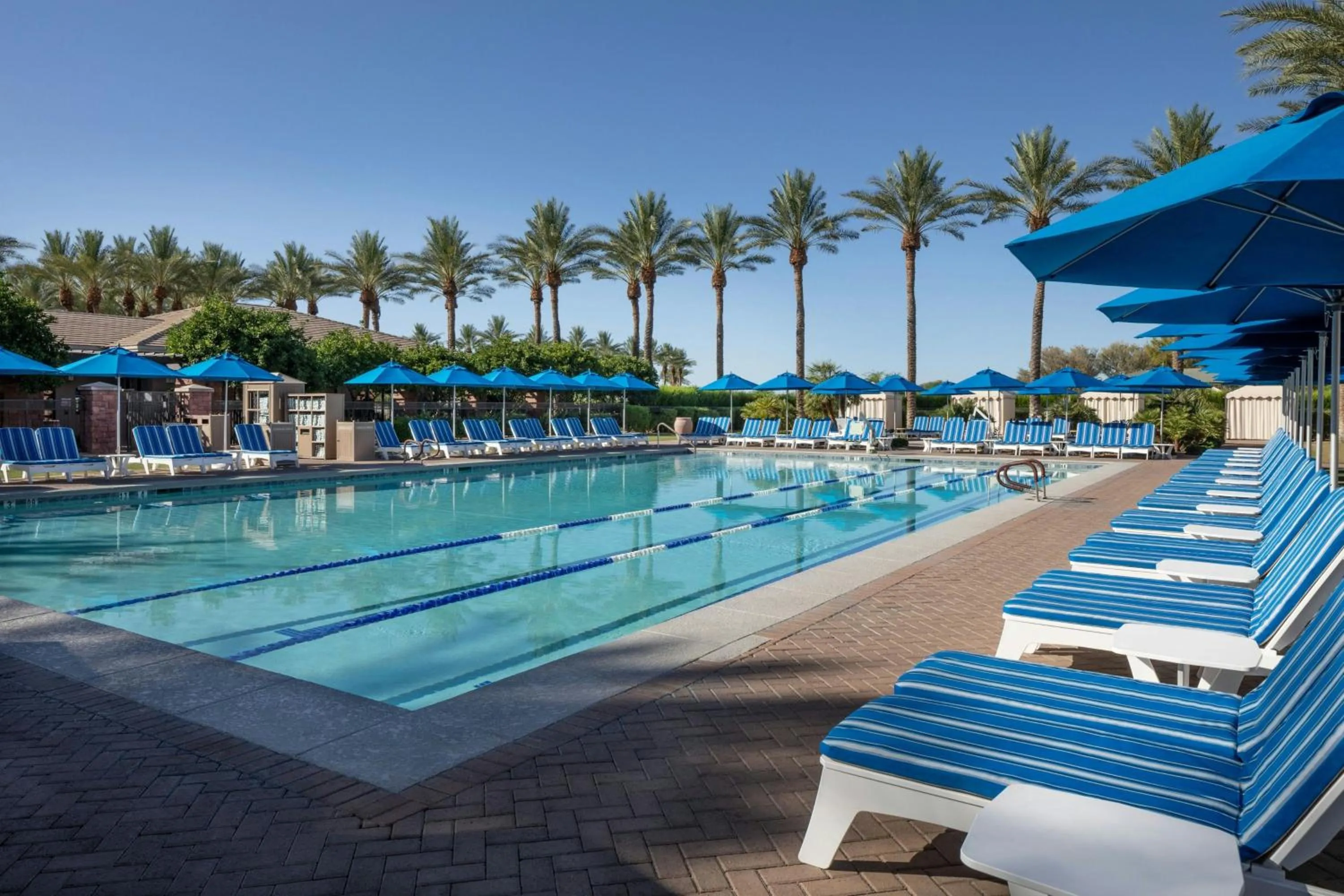 Swimming pool in The Westin Kierland Resort & Spa