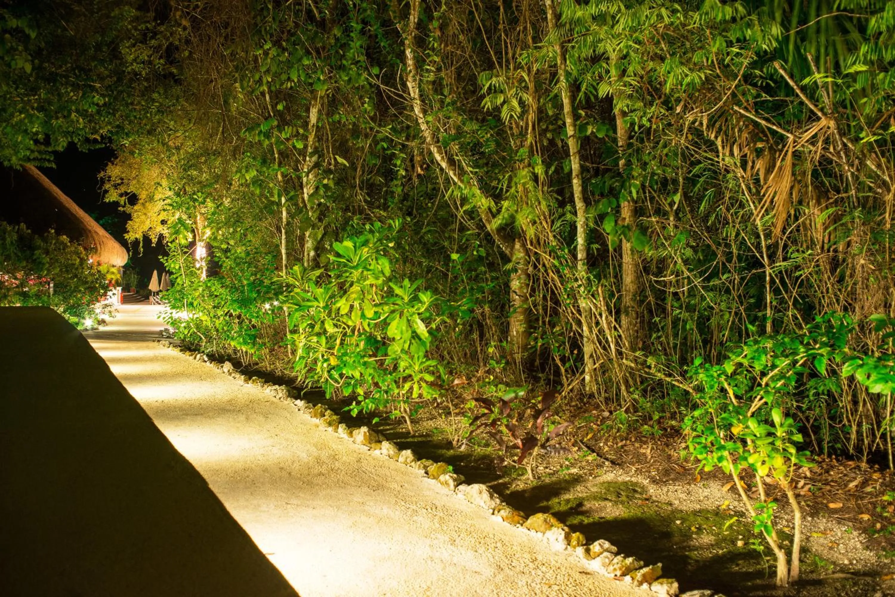 Property building in The Explorean Selva Maya Kohunlich