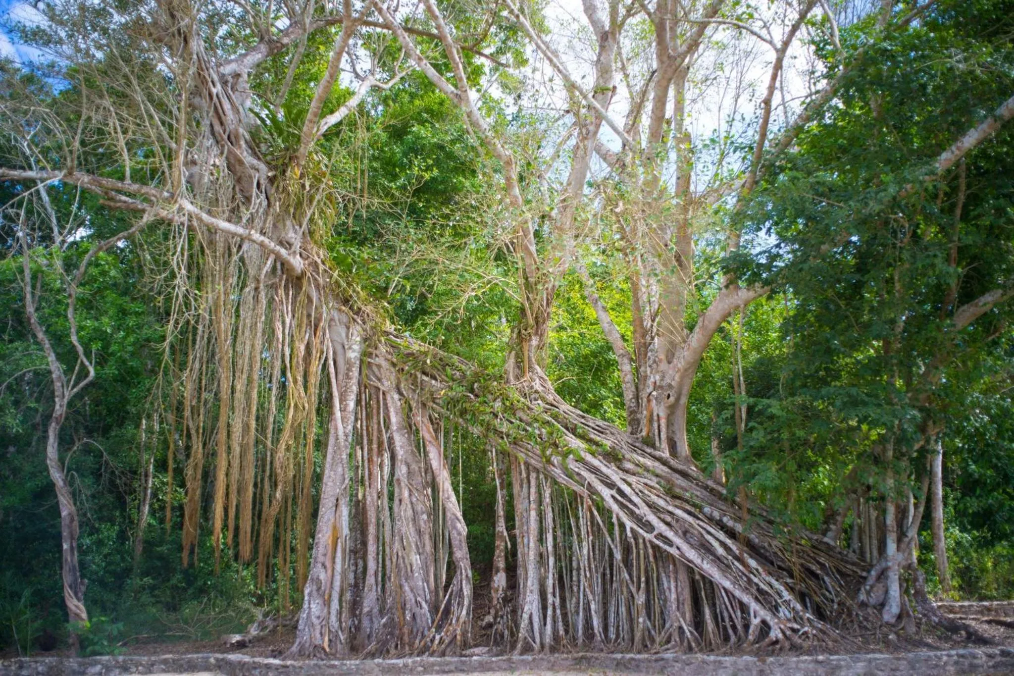 Nearby landmark in The Explorean Selva Maya Kohunlich