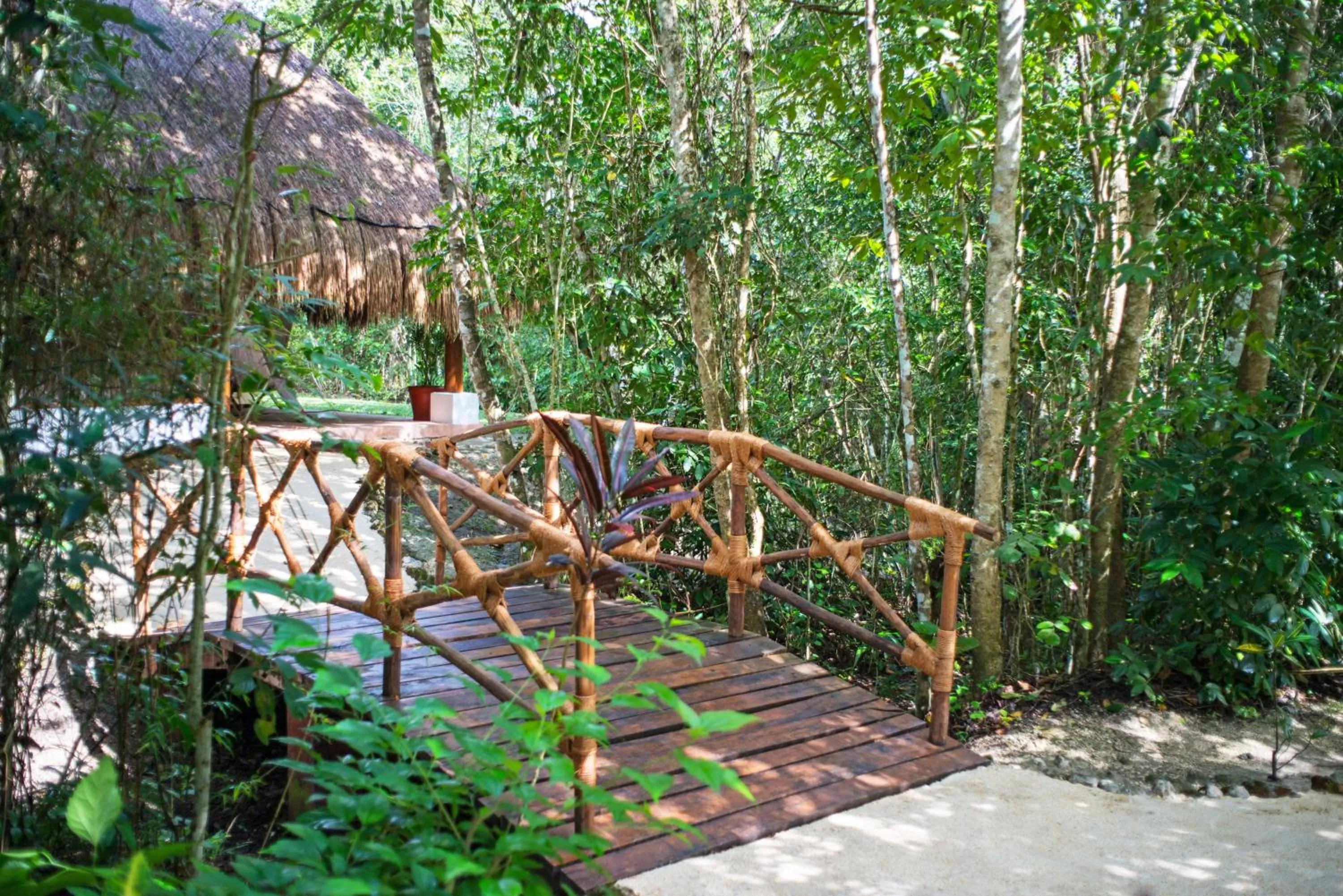 Property building in The Explorean Selva Maya Kohunlich