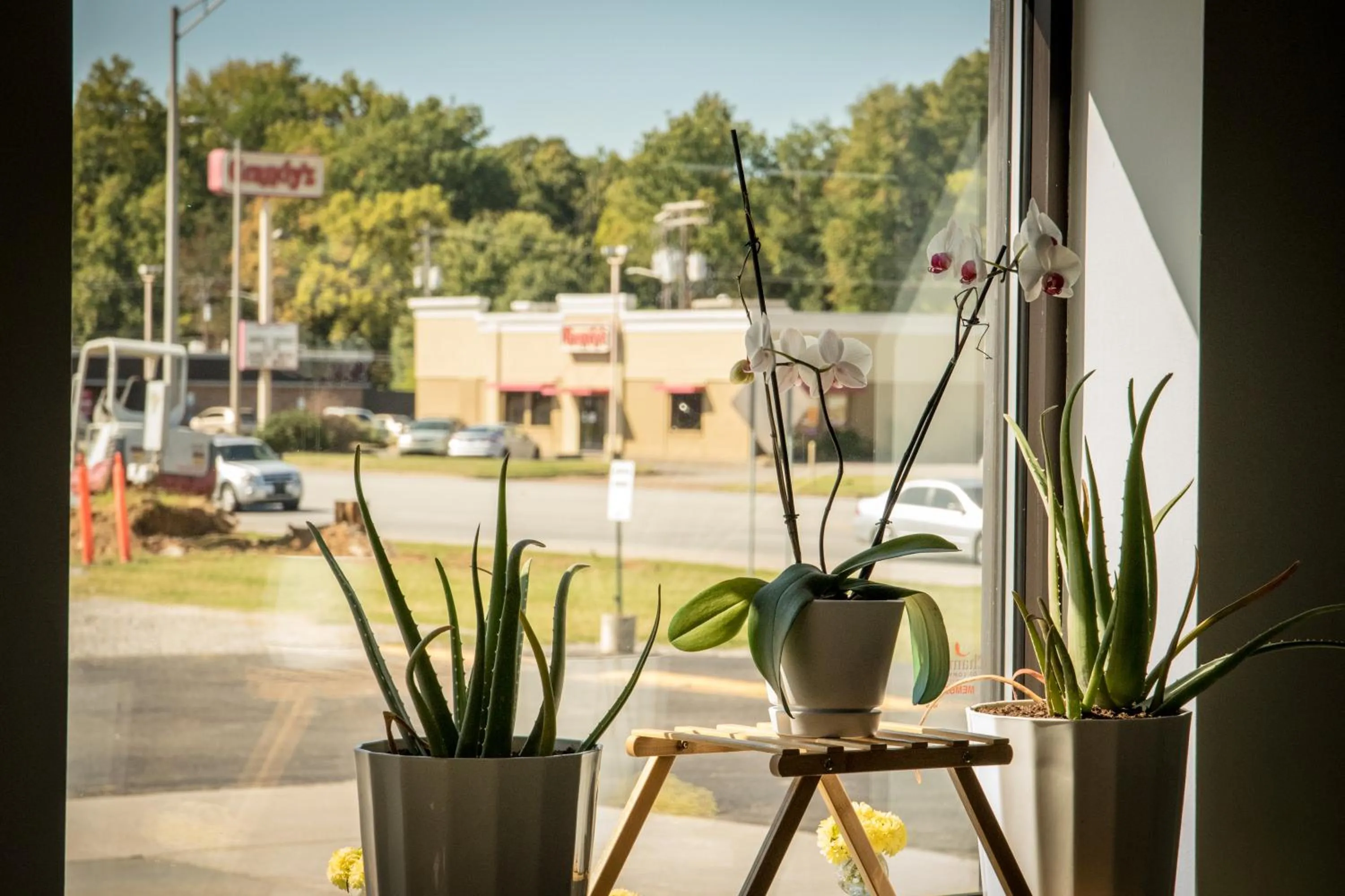 Garden in Envi Boutique Hotel Henderson-Evansville South