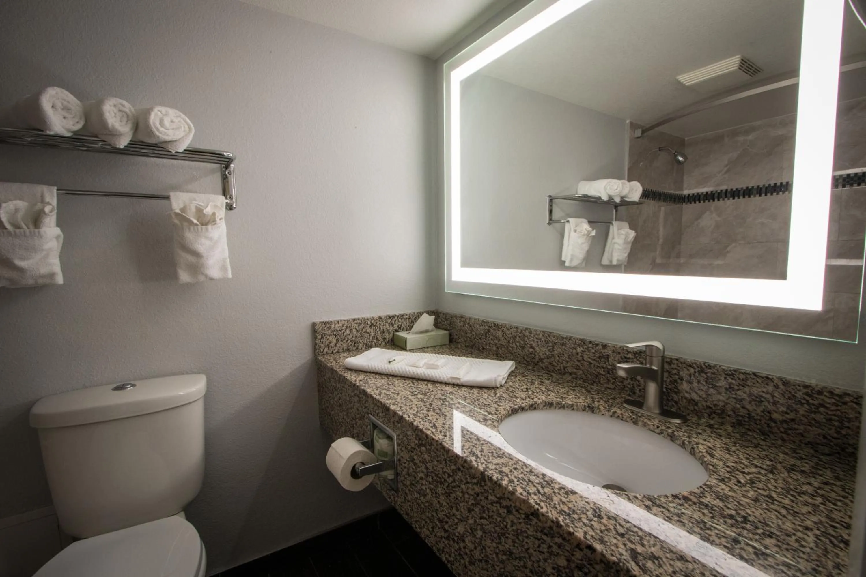 Bathroom in Envi Boutique Hotel Henderson-Evansville South