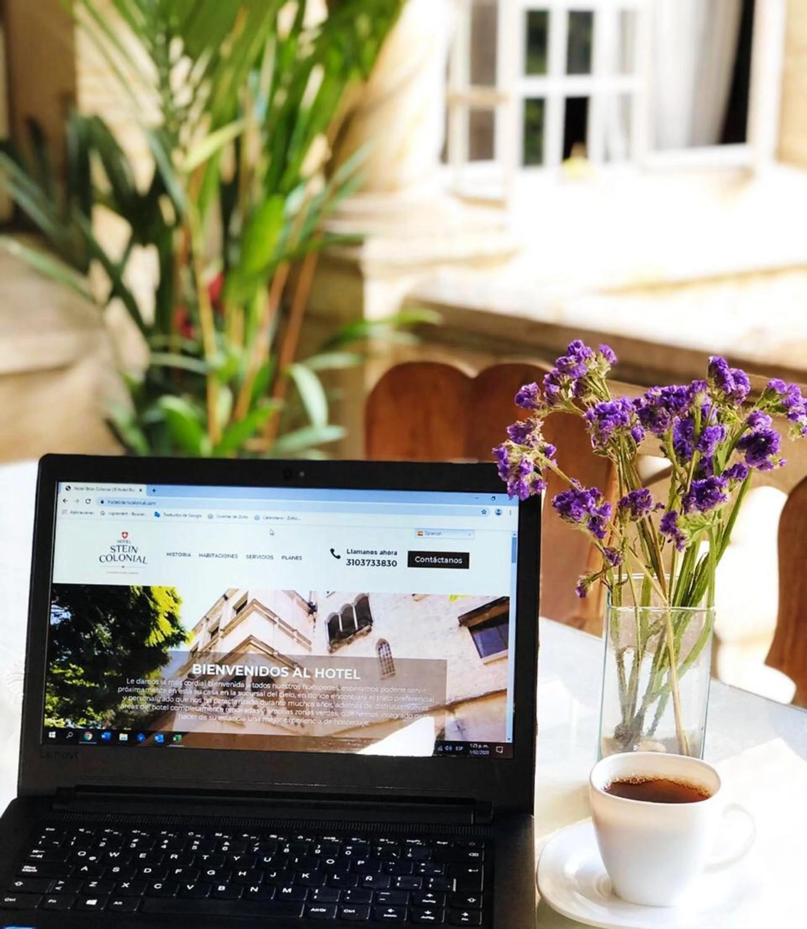 Area and facilities in Hotel Stein Colonial