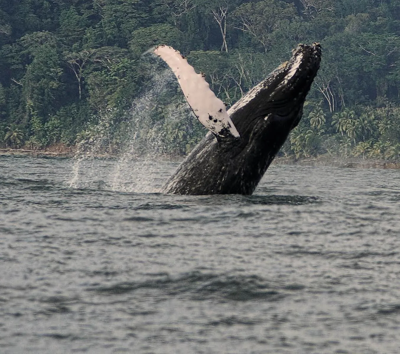Activities in Hotel Cuna del Angel