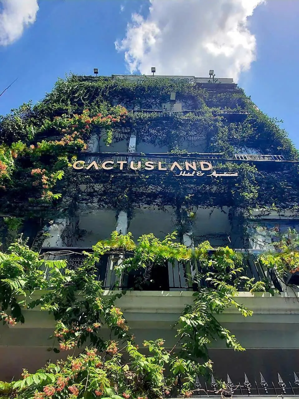 Property building in Cactusland Hotel & Apartment