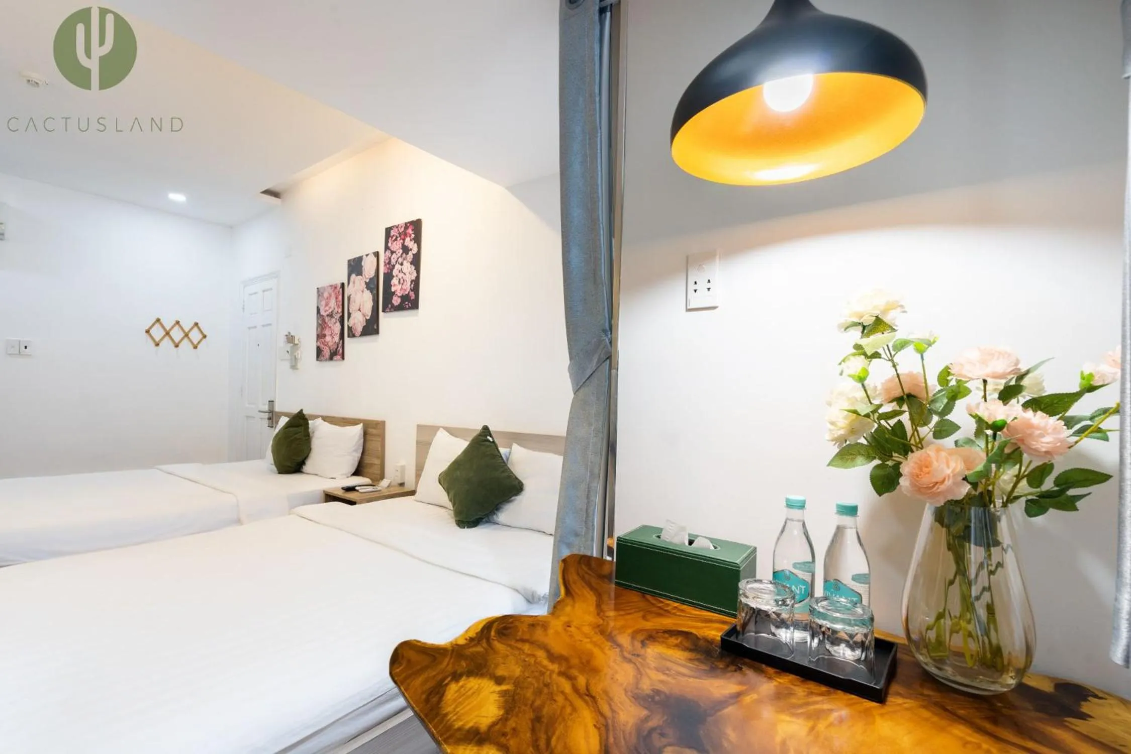 Bed in Cactusland Hotel & Apartment