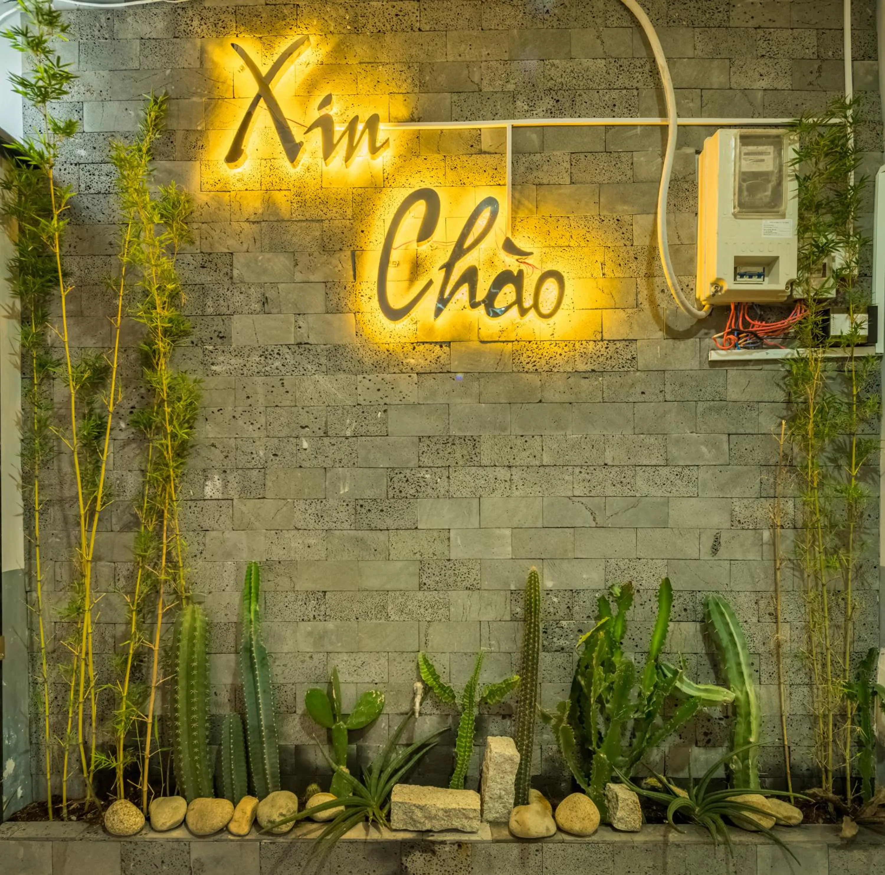 Property logo or sign in Cactusland Hotel & Apartment