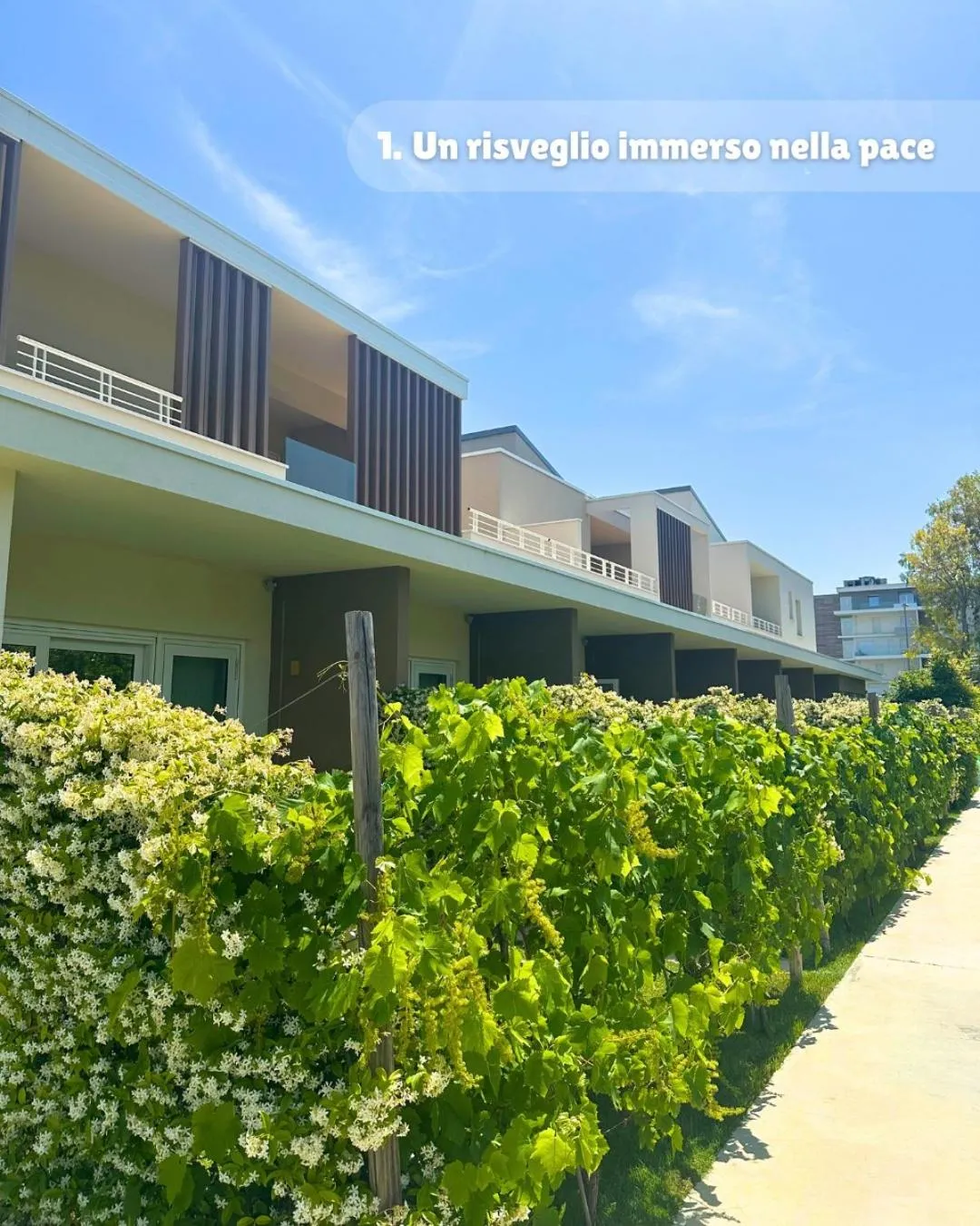 Property building in Suite du Parc & Hotel