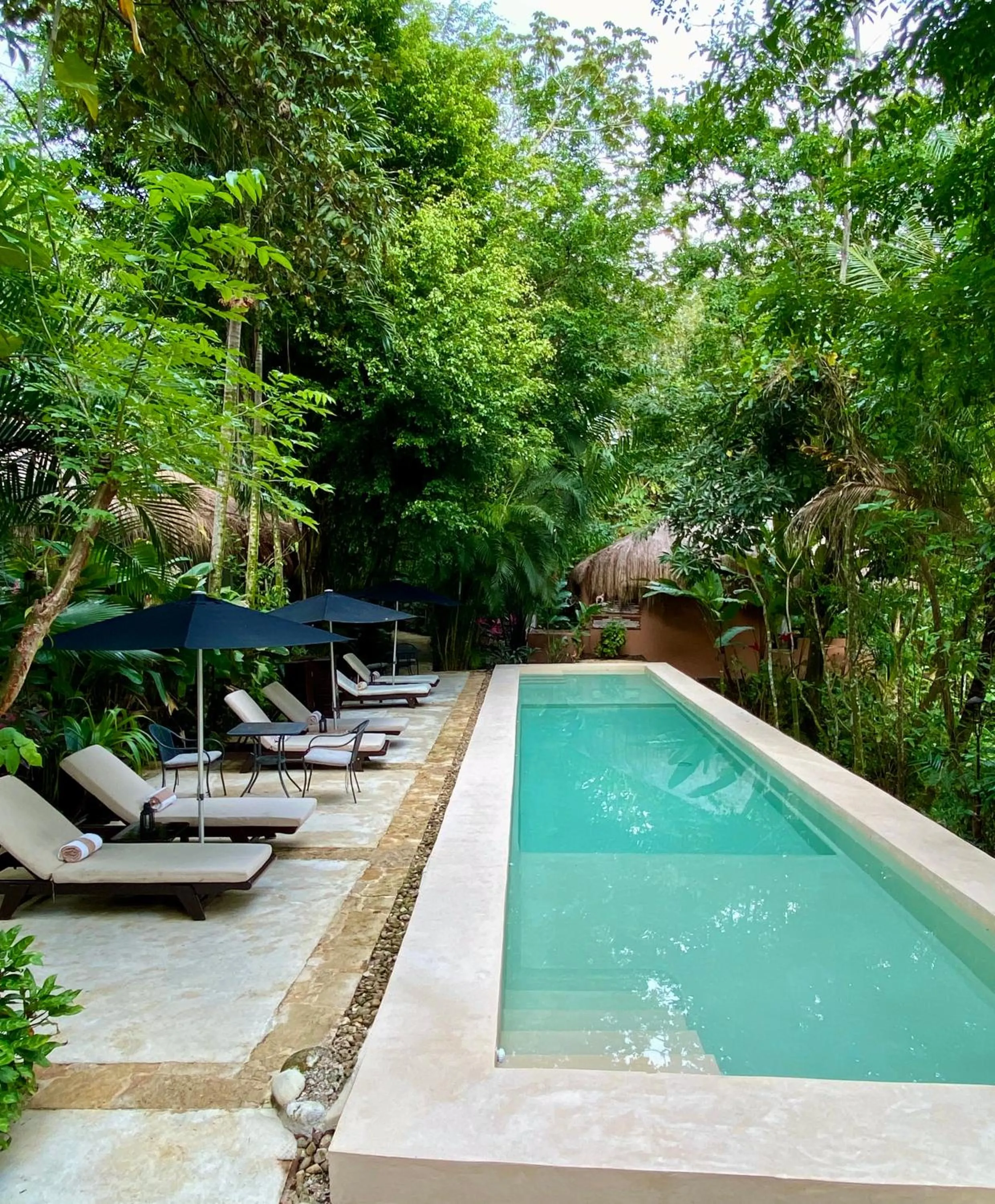 Natural landscape in Piedra de Agua Palenque