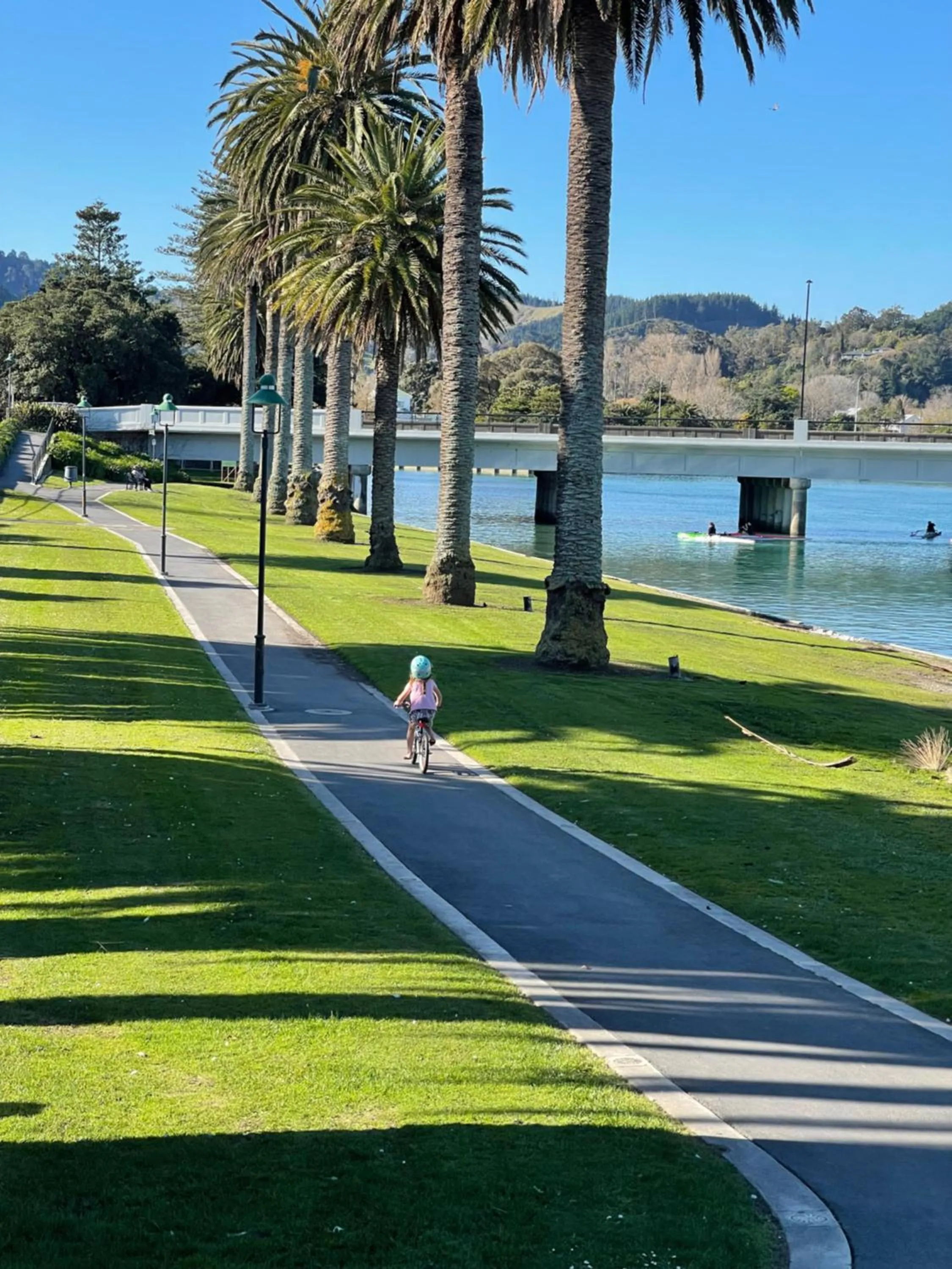Natural landscape in Waikanae Beach Motel