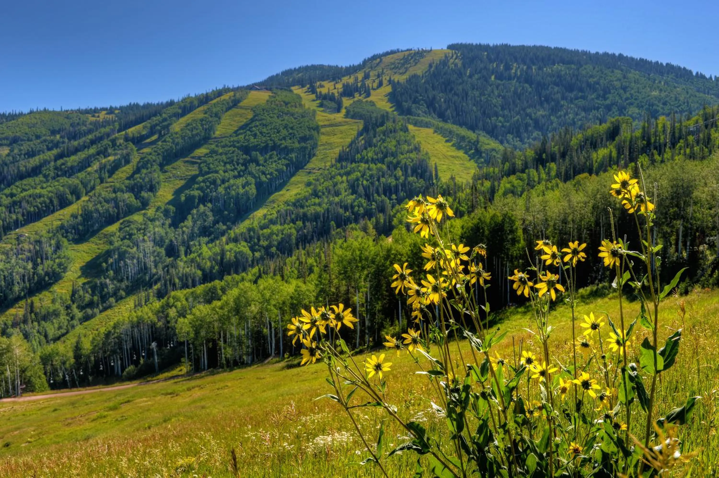 Activities in The Steamboat Grand