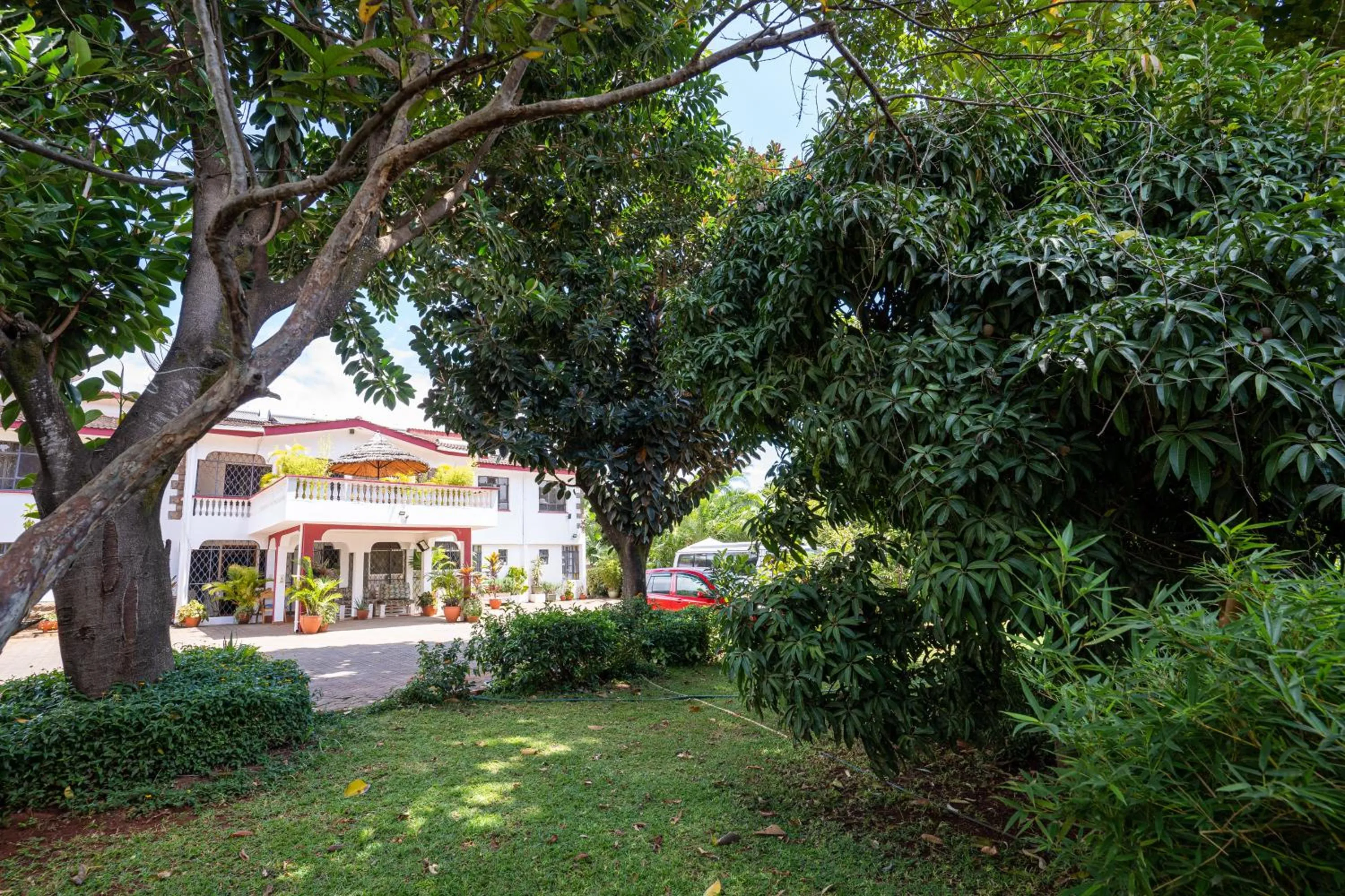 Garden view in Bonsai Villa