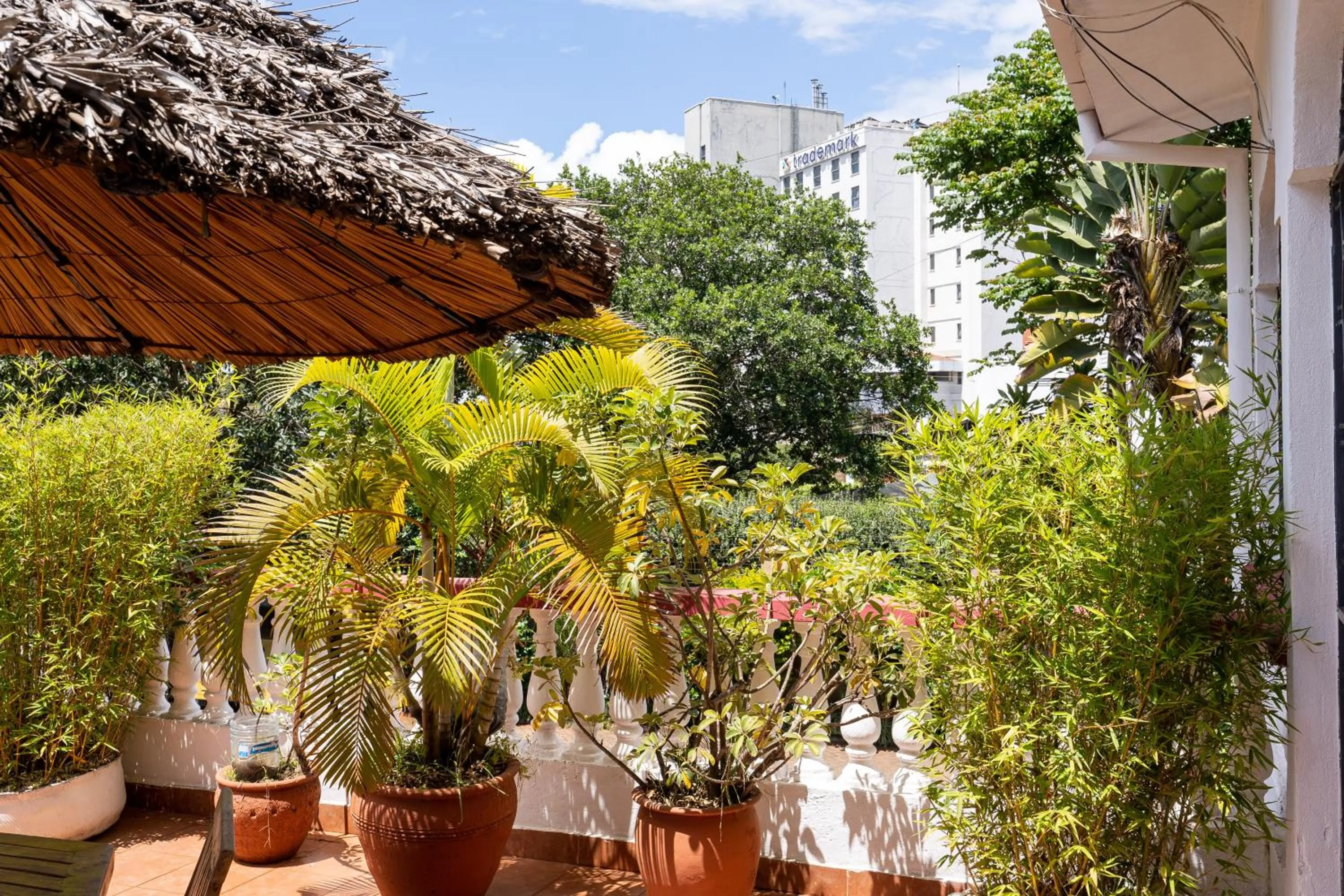 Balcony/Terrace in Bonsai Villa