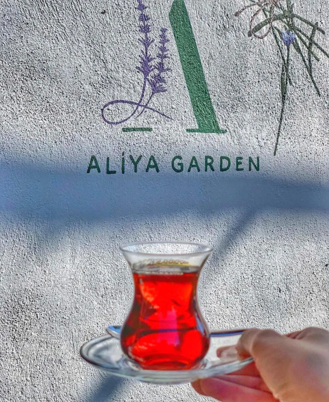 Aliya Konak - Köy Evi ve Lezzetleri