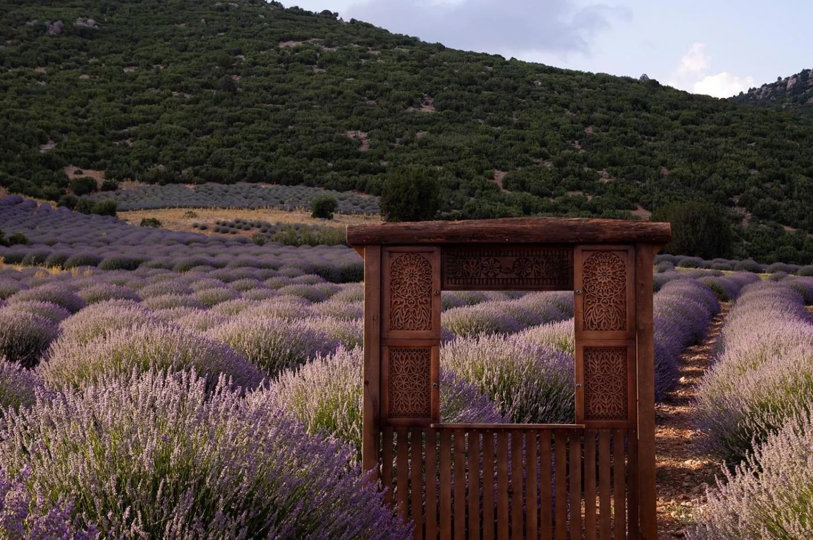 Aliya Konak - Köy Evi ve Lezzetleri