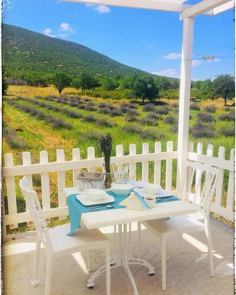 Restaurant/places to eat in Aliya Konak - Köy Evi ve Lezzetleri