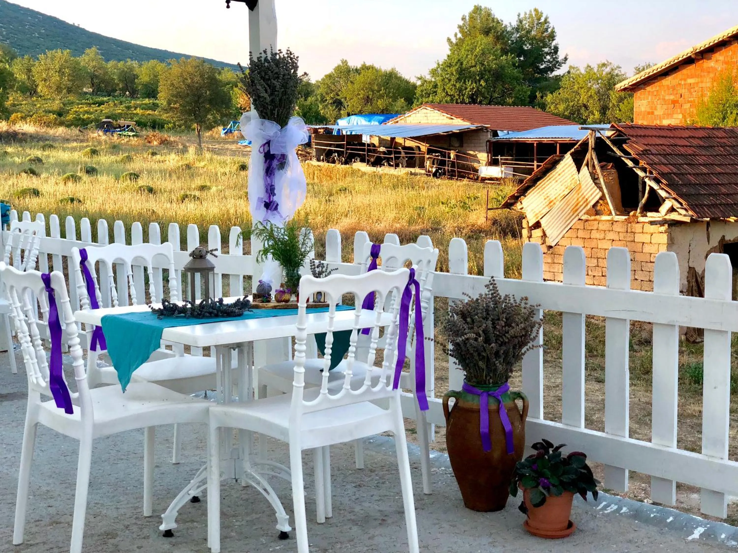 Property building in Aliya Konak - Köy Evi ve Lezzetleri