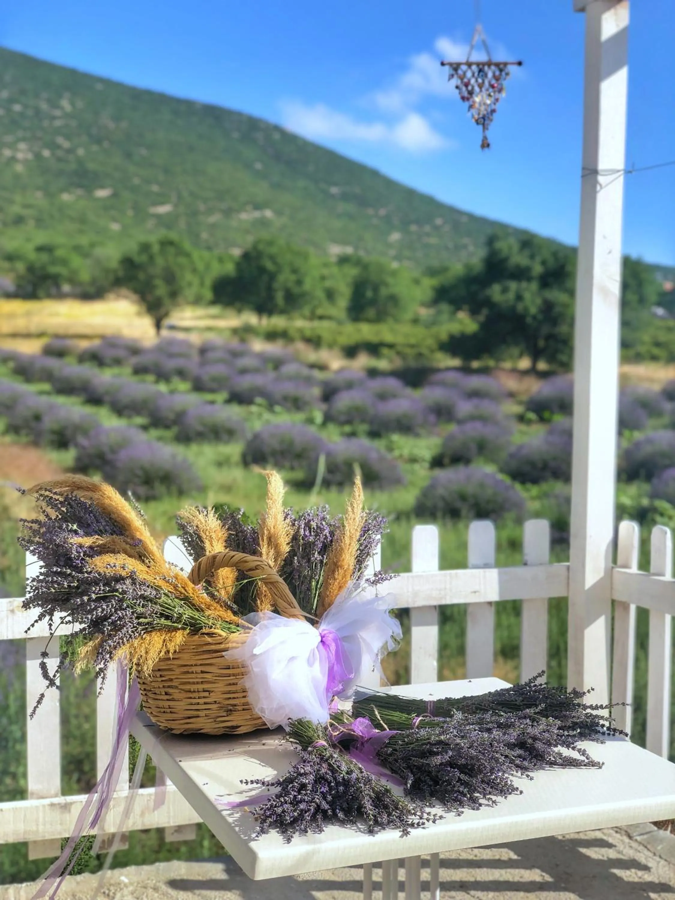 Aliya Konak - Köy Evi ve Lezzetleri