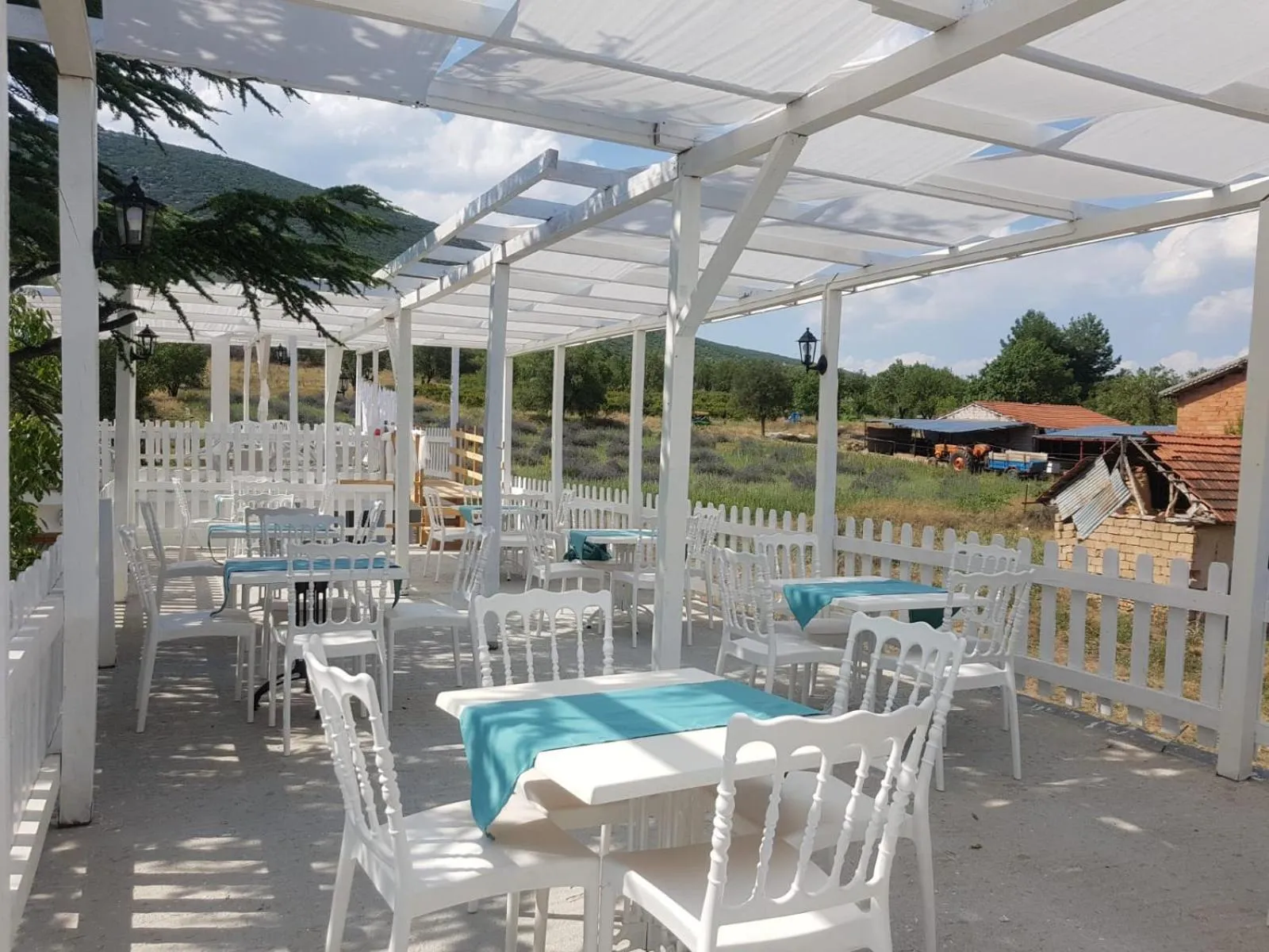 Restaurant/places to eat in Aliya Konak - Köy Evi ve Lezzetleri