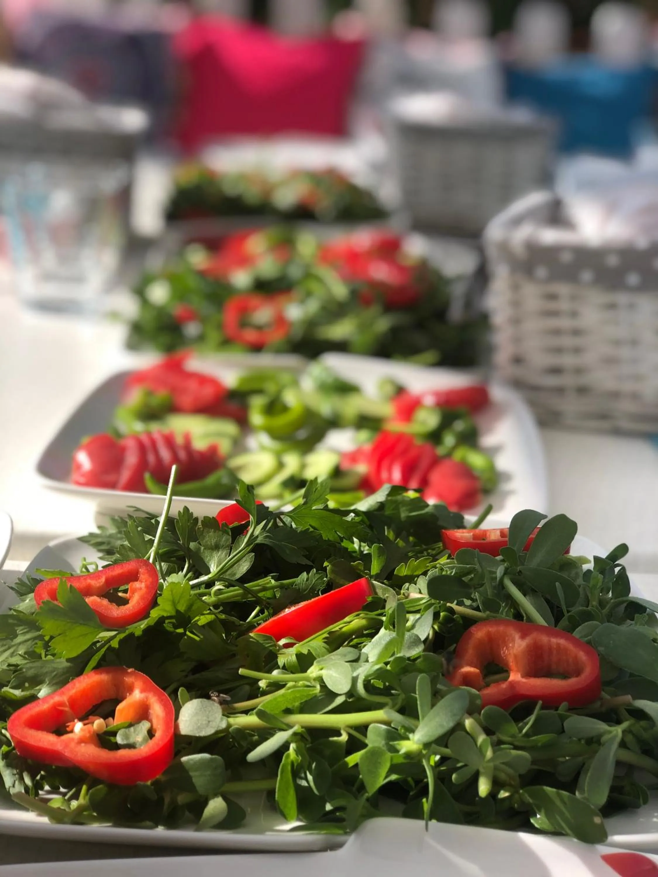 Food and drinks in Aliya Konak - Köy Evi ve Lezzetleri