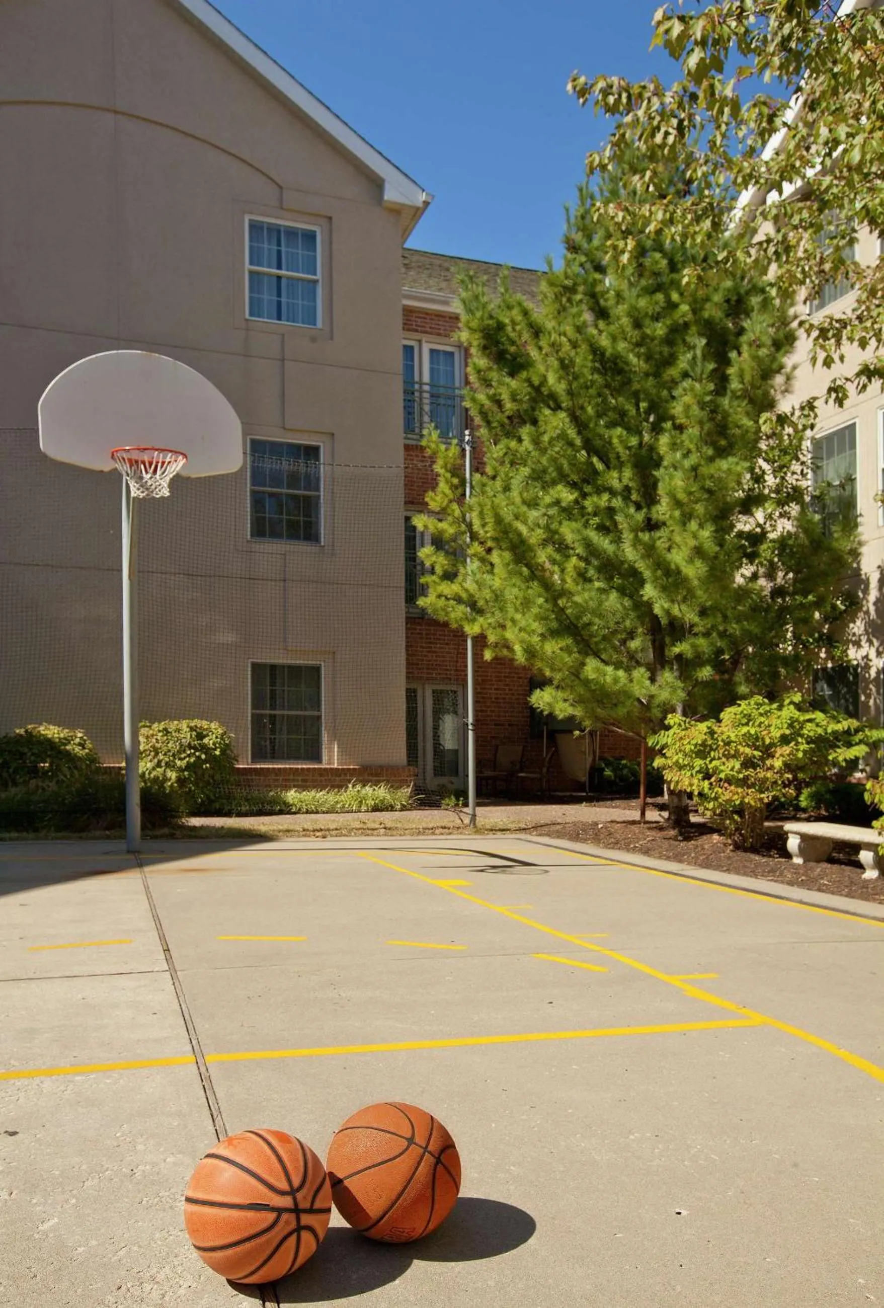 Sports in Homewood Suites by Hilton Kansas City Airport