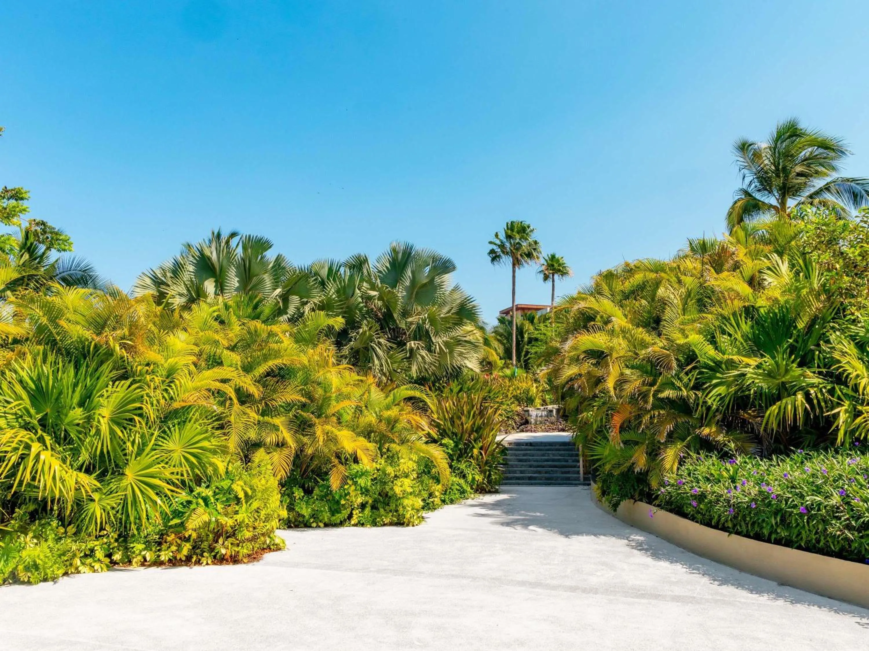 Other in Armony Marival Resort & Spa Punta de Mita - MGallery collection