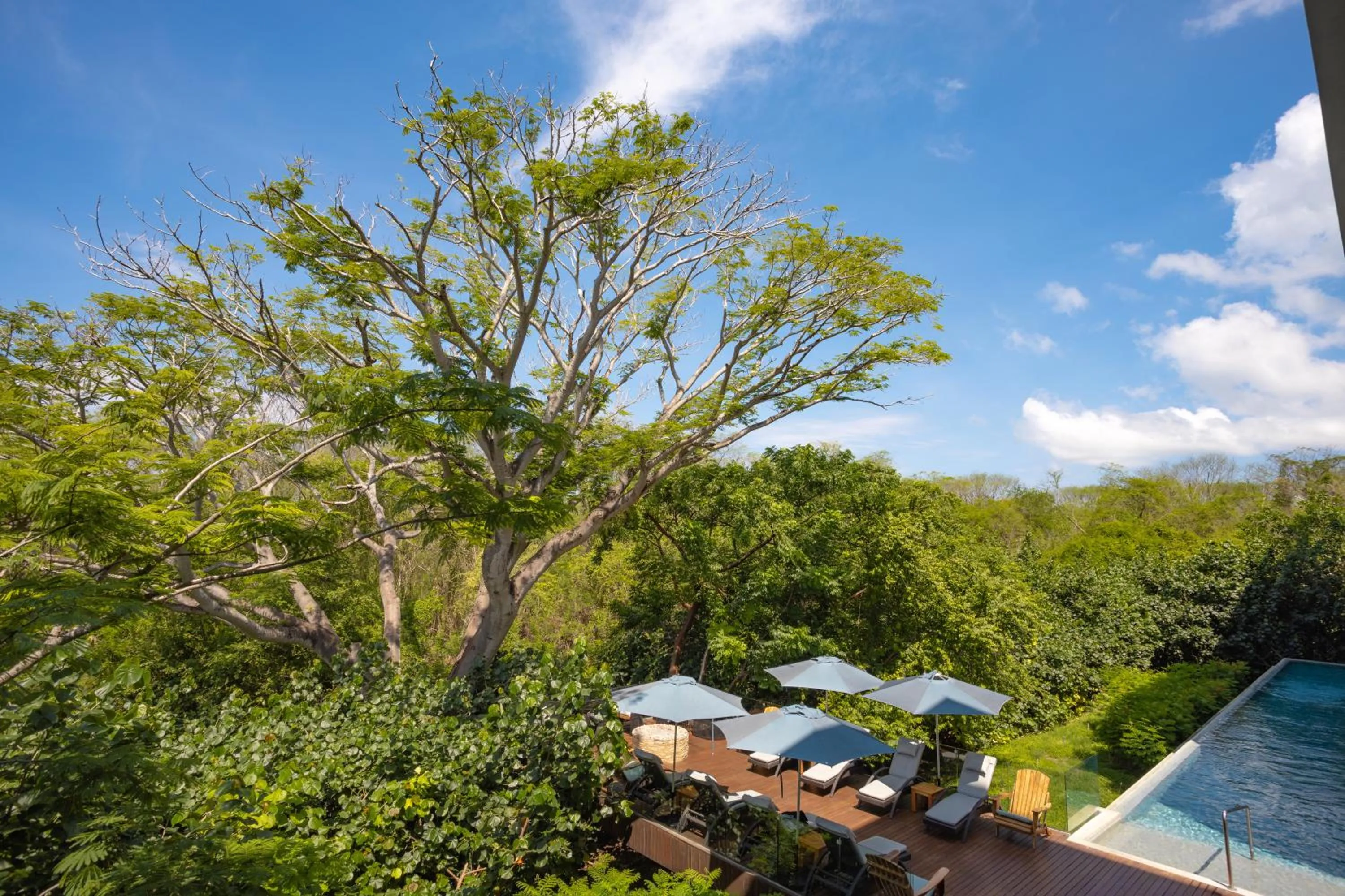 Armony Marival Resort & Spa Punta de Mita - MGallery collection