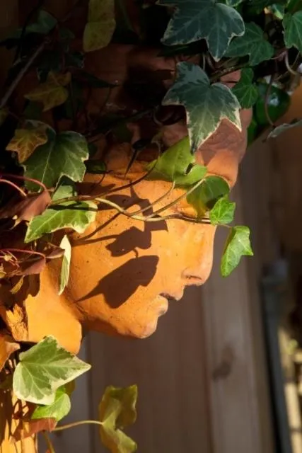 Other in Chambres "Au Jardin"