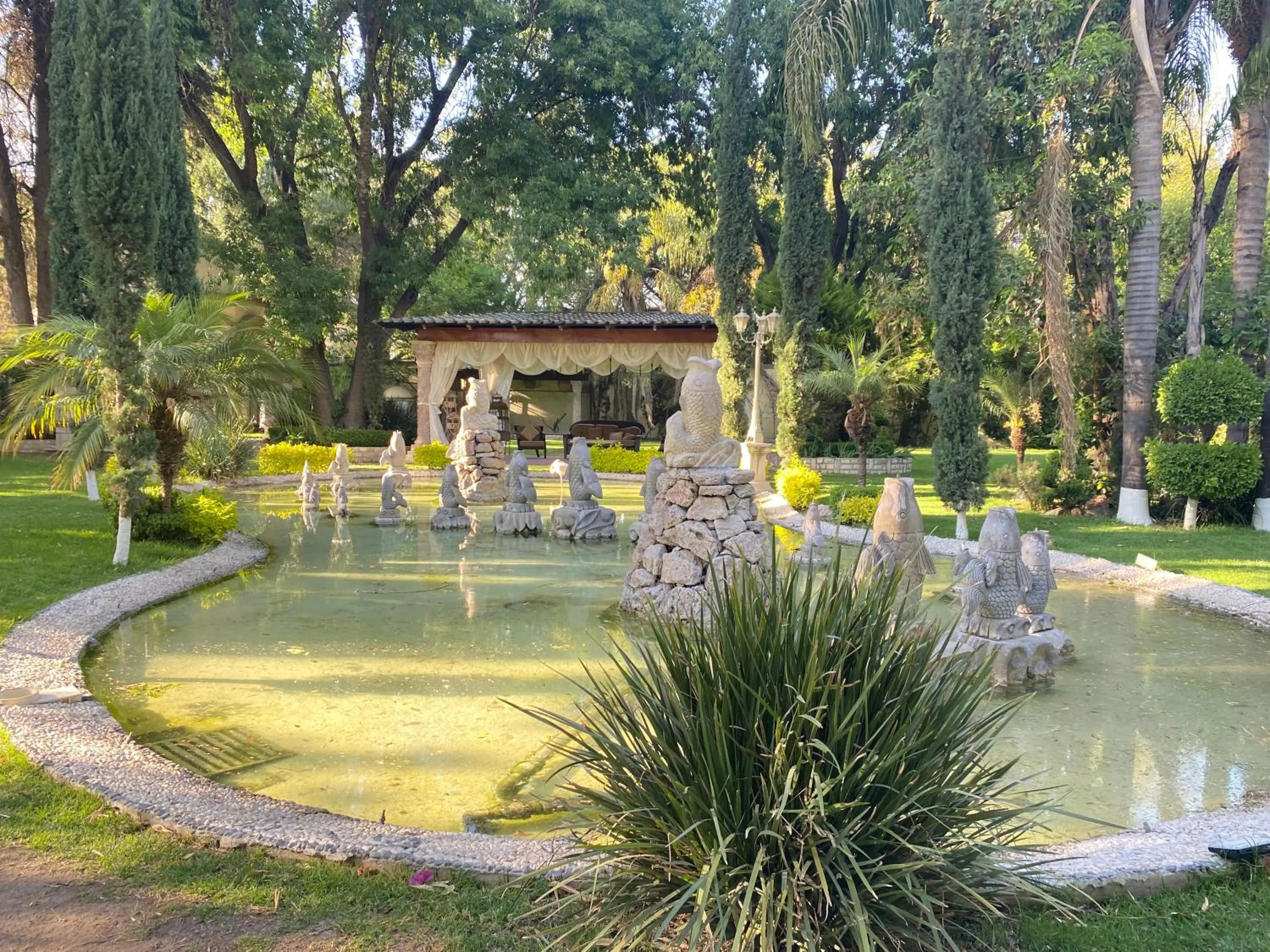Garden in Gran Hotel Firenze