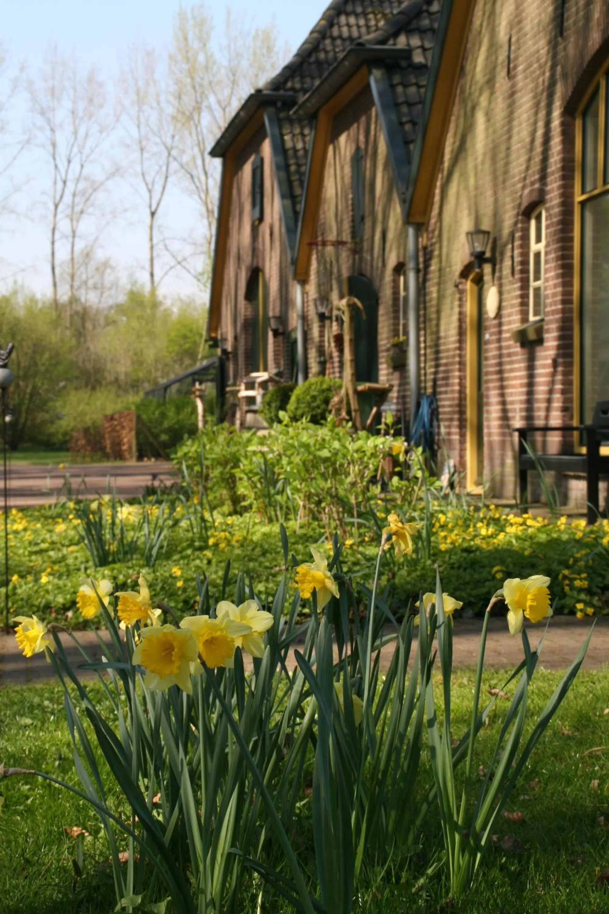 Spring in Gastenverblijf Eenink
